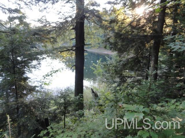 Parcel A Lake Eva Road Toivola, MI 49965 - Photo 4 of 11 Gallery Image 4
