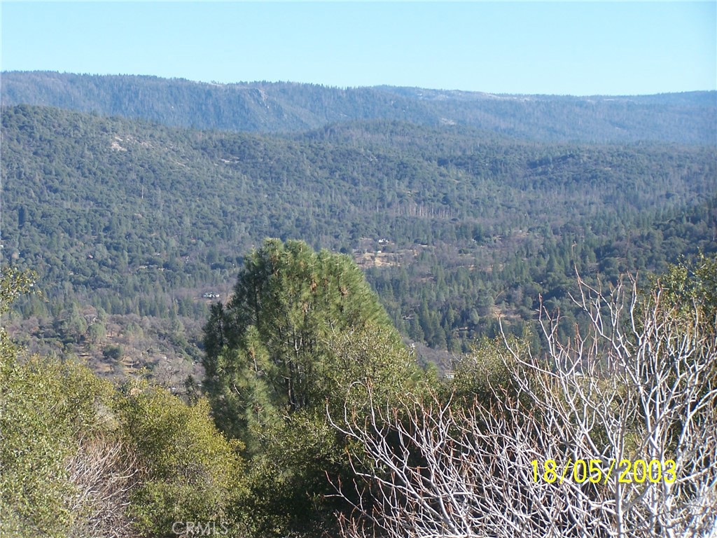 10 Jean Road West Oakhurst, CA 93644 - Photo 2 of 4 a view of a dry yard with trees