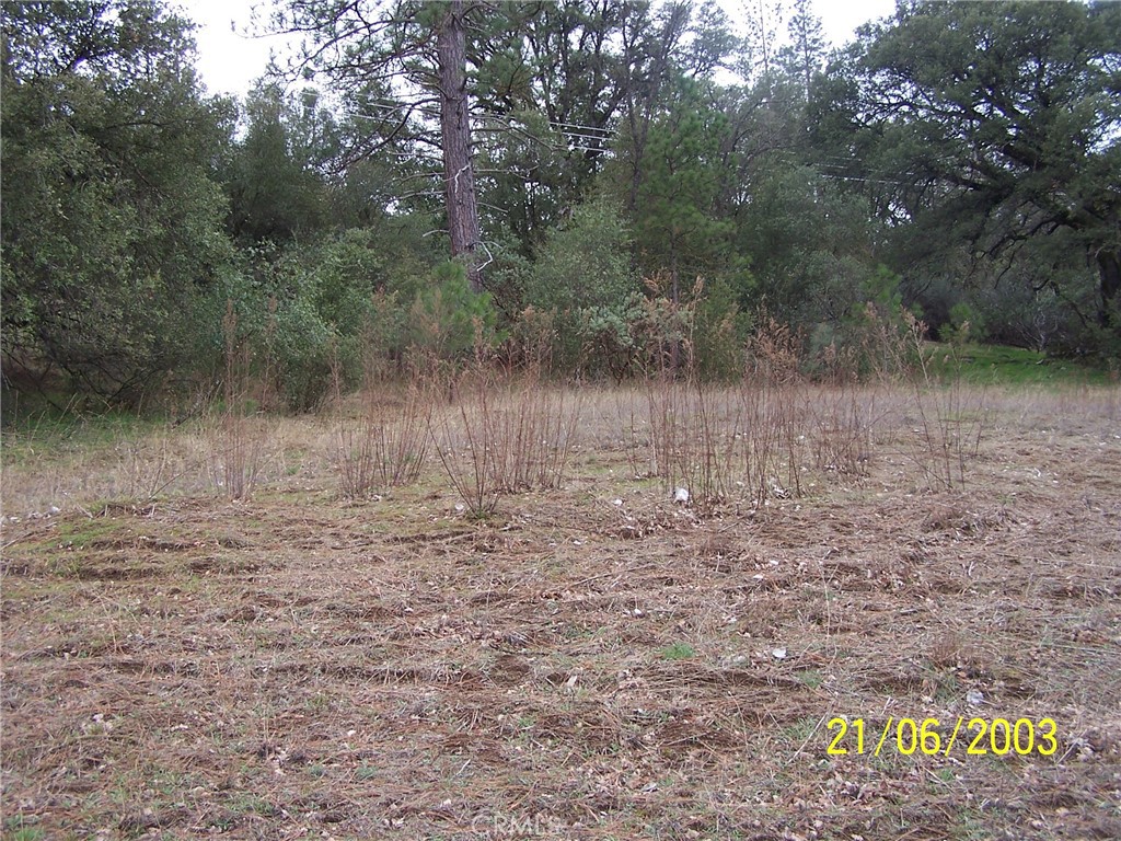 10 Jean Road West Oakhurst, CA 93644 - Photo 3 of 4 a view of a lake view