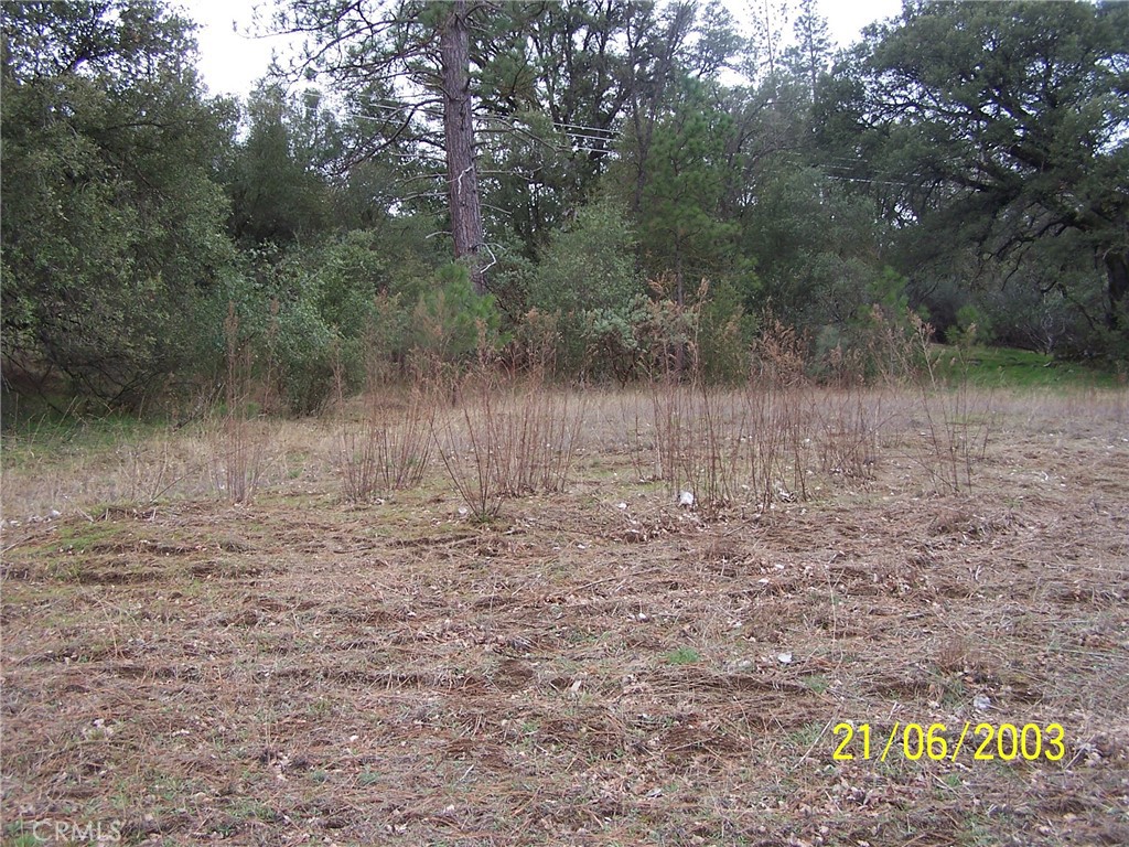 10 Jean Road West Oakhurst, CA 93644 - Photo 4 of 4 a view of a lake view