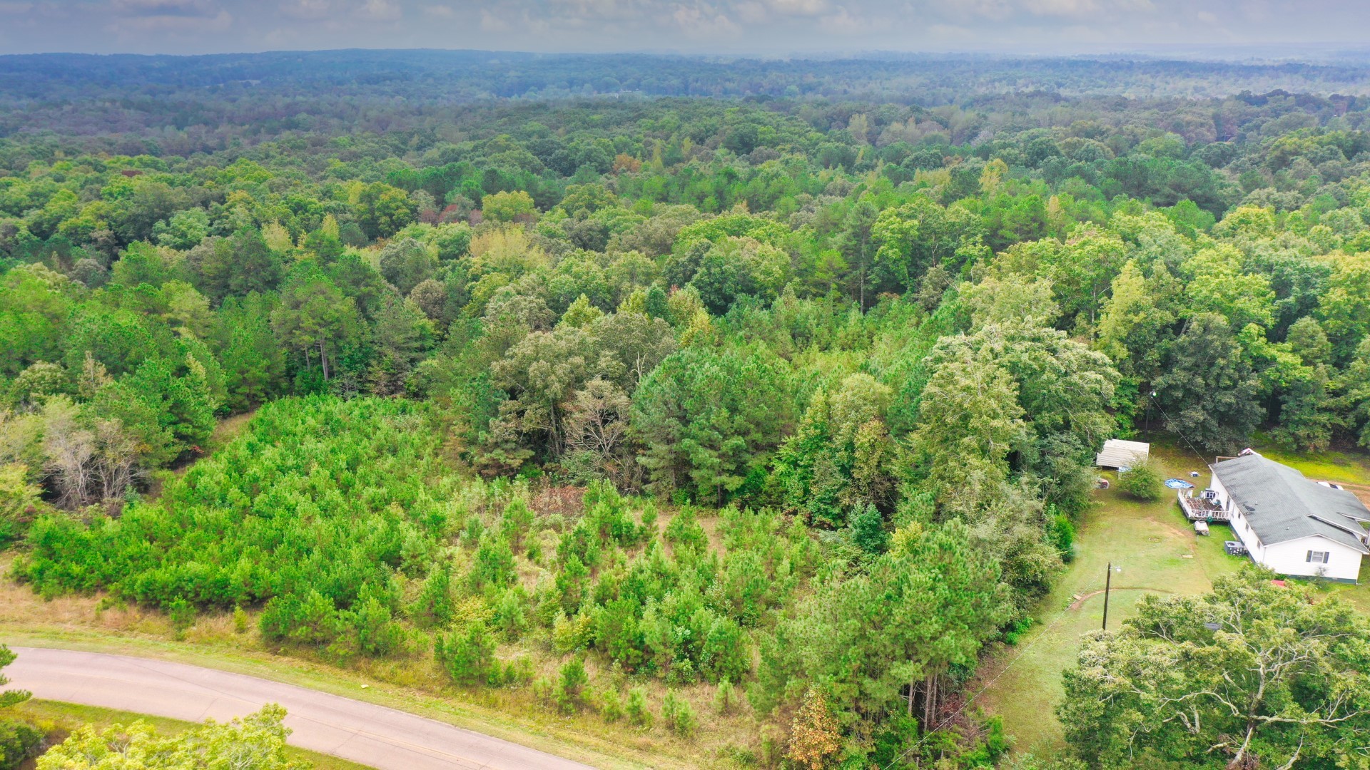 0 Enville Road Henderson, TN 38340 - Photo 13 of 23 a view of a lush green forest with lots of trees