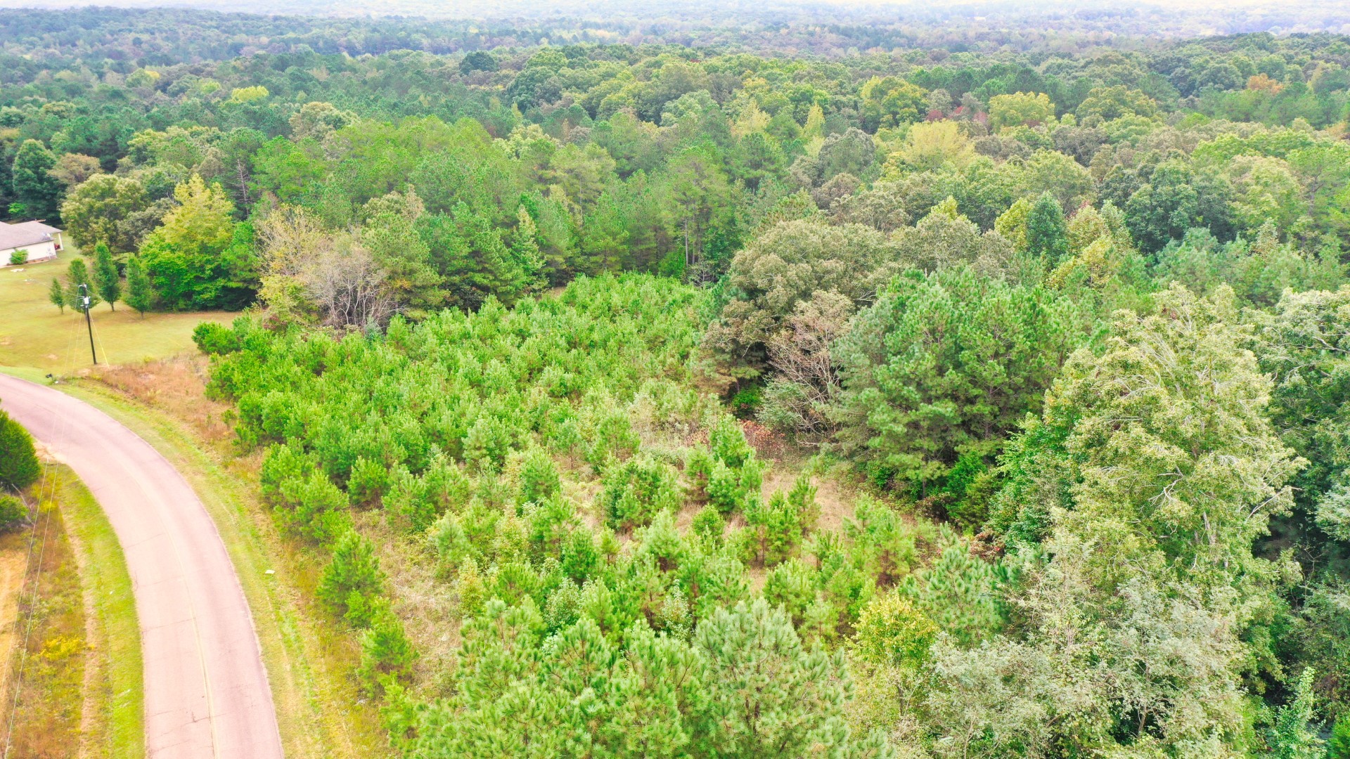 0 Enville Road Henderson, TN 38340 - Photo 14 of 23