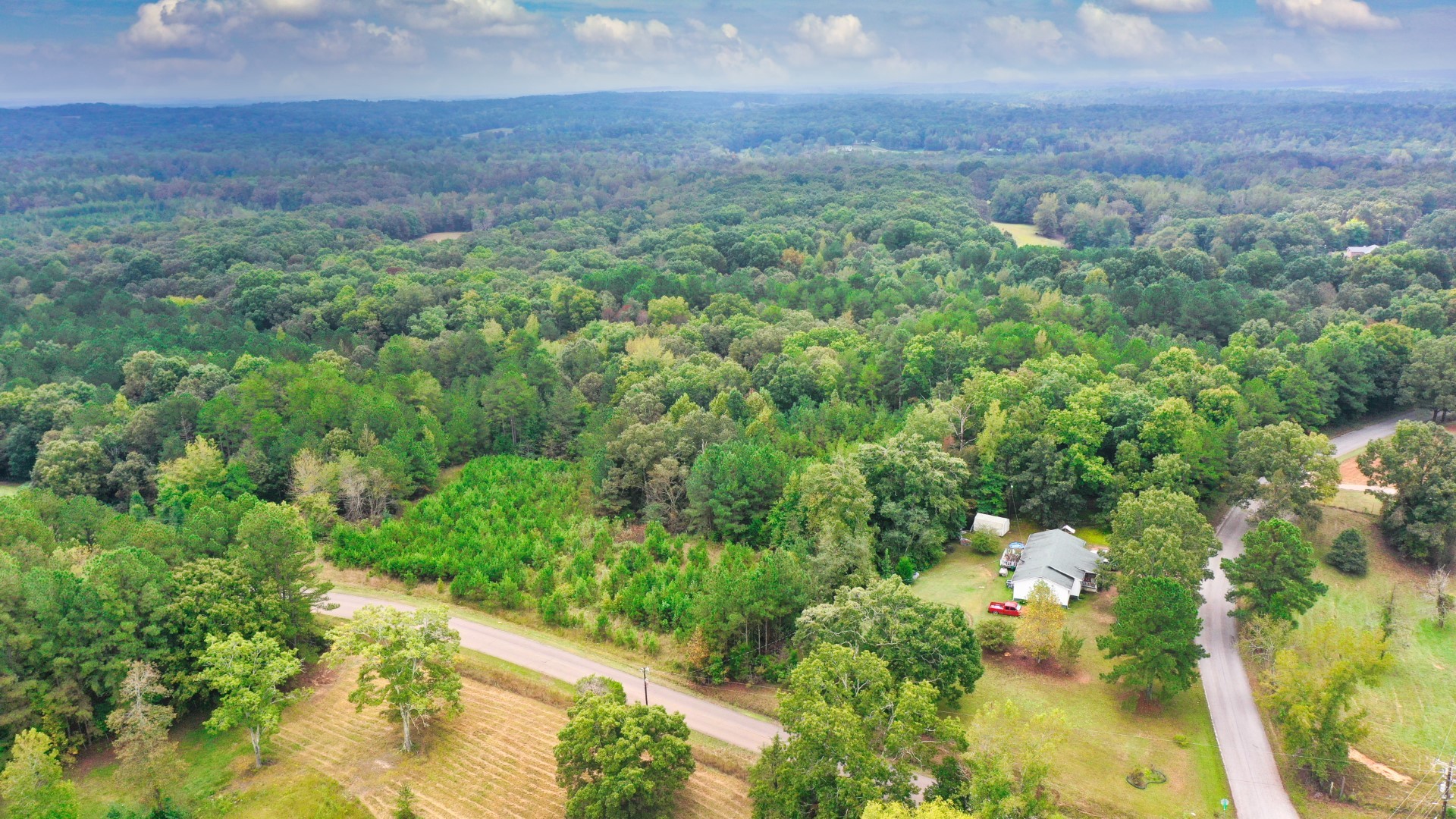 0 Enville Road Henderson, TN 38340 - Photo 2 of 23 a view of a garden with a tree