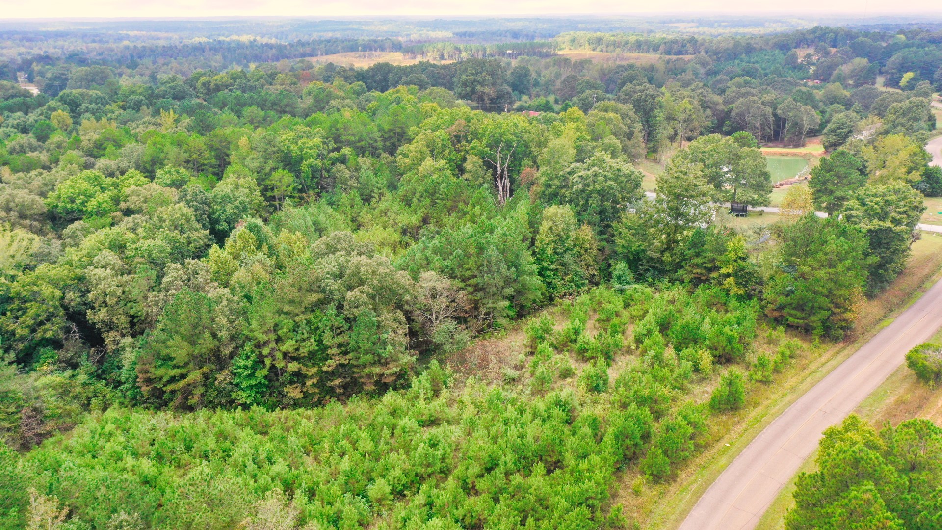 0 Enville Road Henderson, TN 38340 - Photo 22 of 23 a view of a green field with lots of bushes