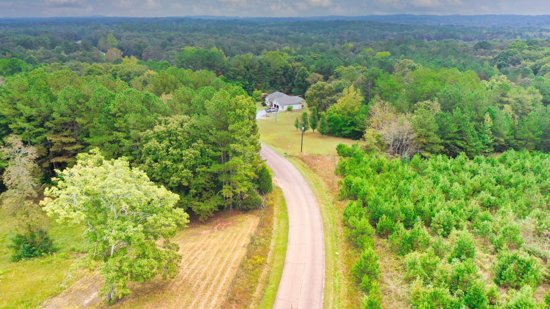 0 Enville Road Henderson, TN 38340 - Photo 3 of 23 a view of a city with lush green forest