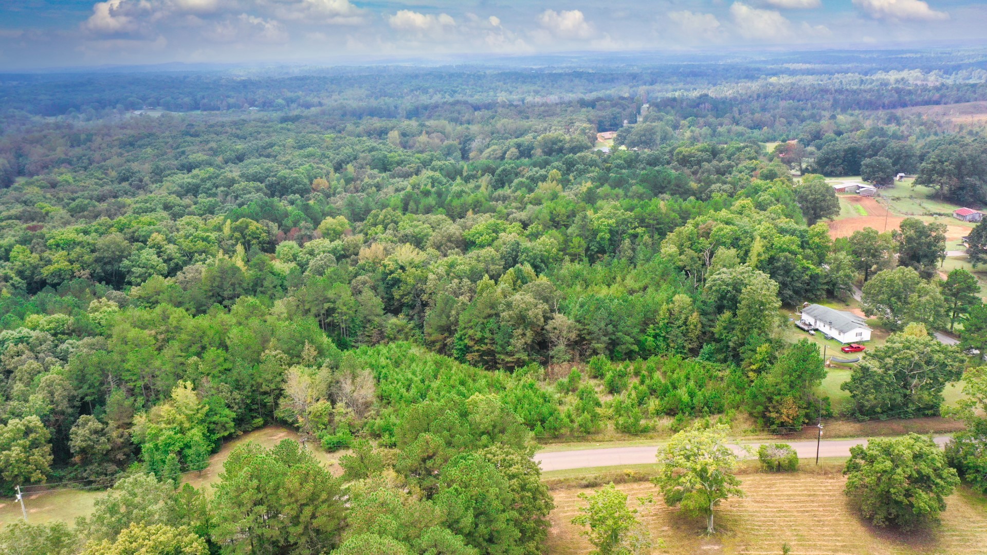 0 Enville Road Henderson, TN 38340 - Photo 7 of 23 a view of a lake with a city