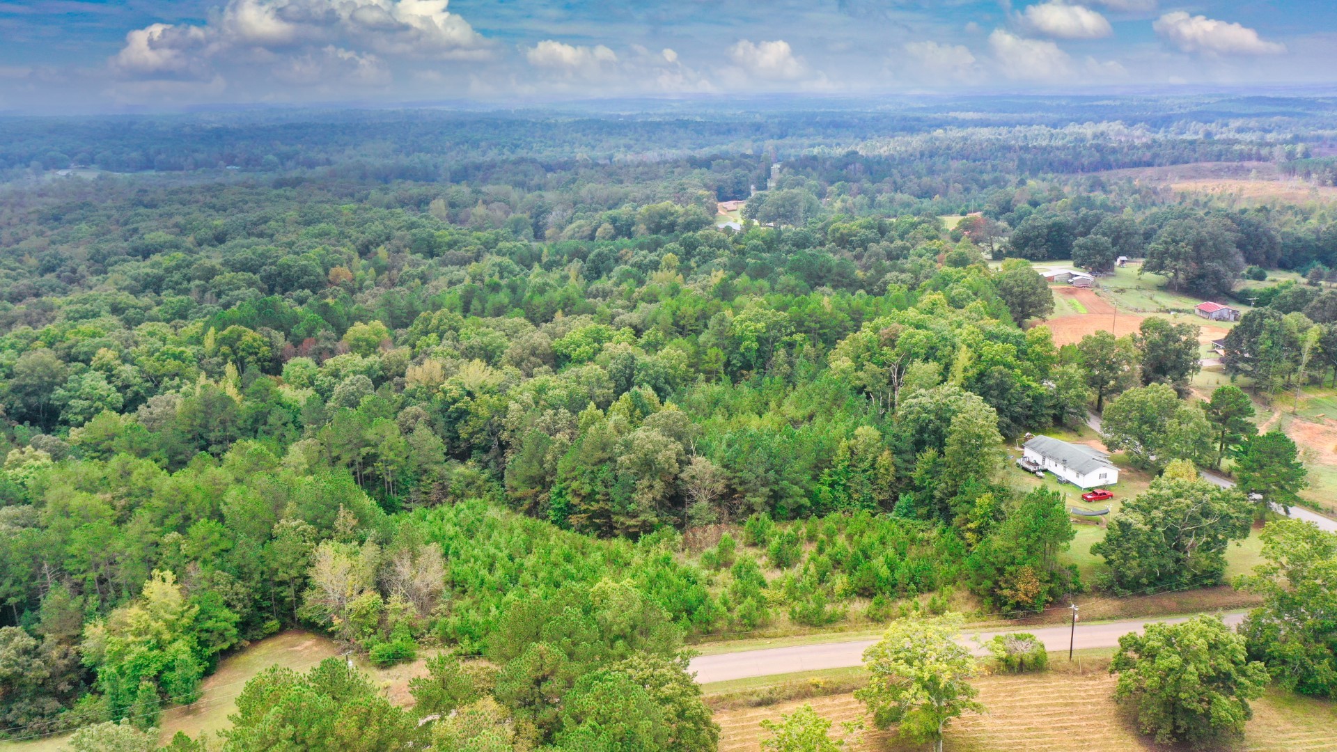 0 Enville Road Henderson, TN 38340 - Photo 9 of 23 view of a city with lush green forest