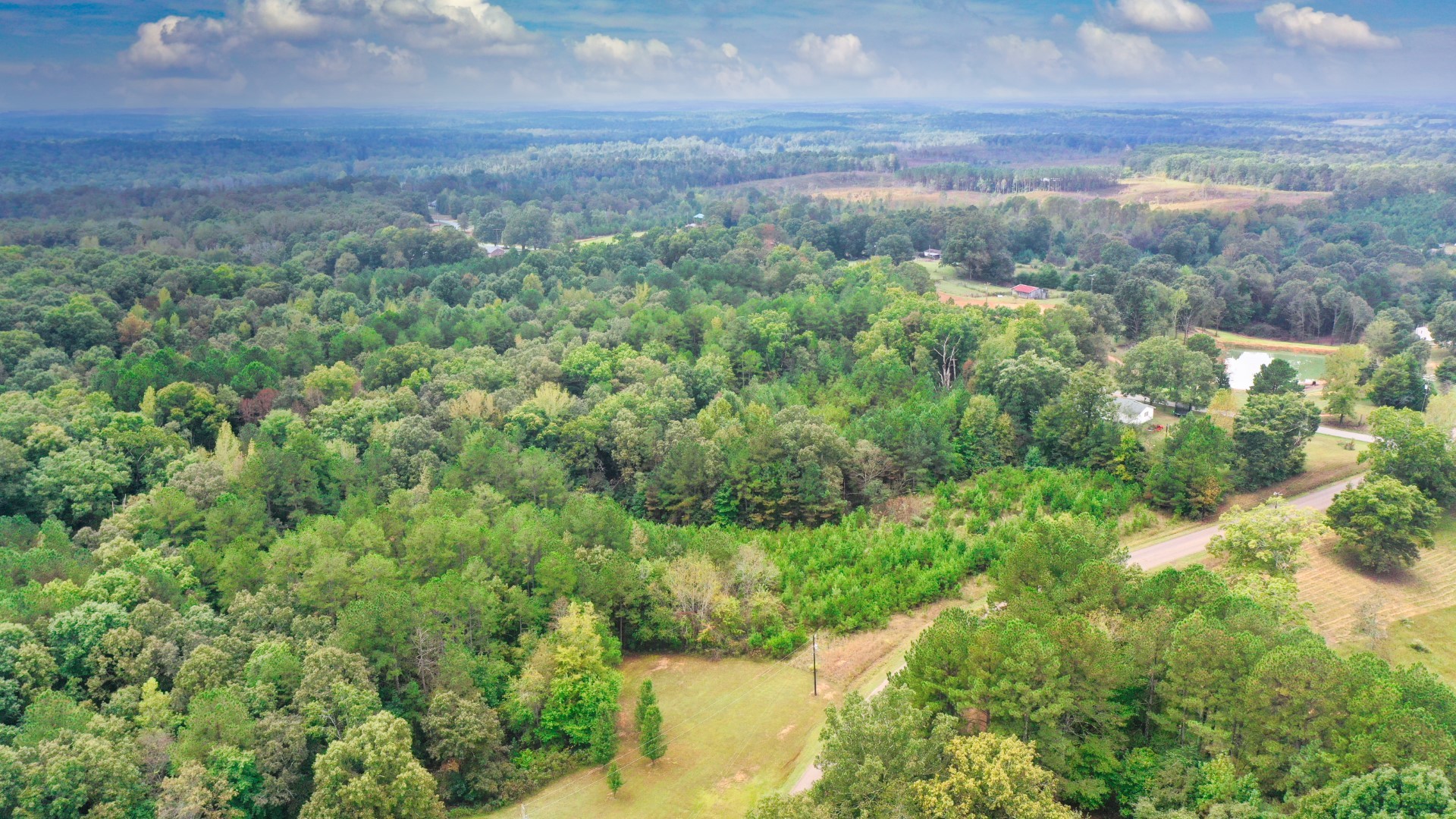 0 Enville Road Henderson, TN 38340 - Photo 10 of 23 a view of a green field with lots of bushes