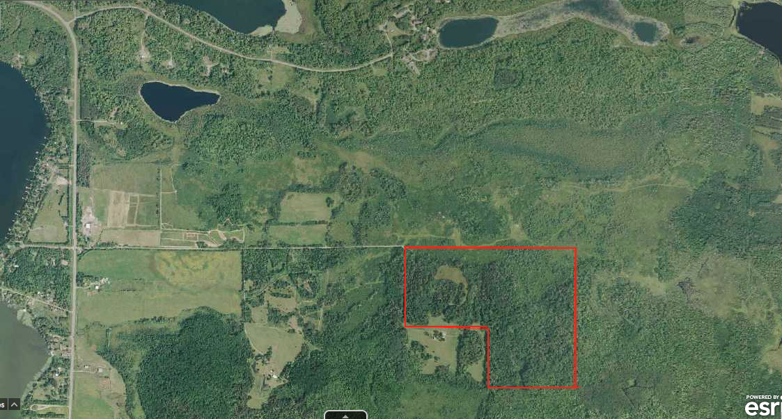 Tbd 430th Lane Aitkin, MN 56431 - Photo 2 of 5