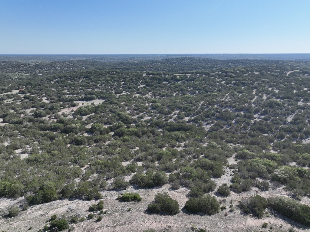 48 SD 14070 Rocksprings, TX 78880 - Photo 3 of 11