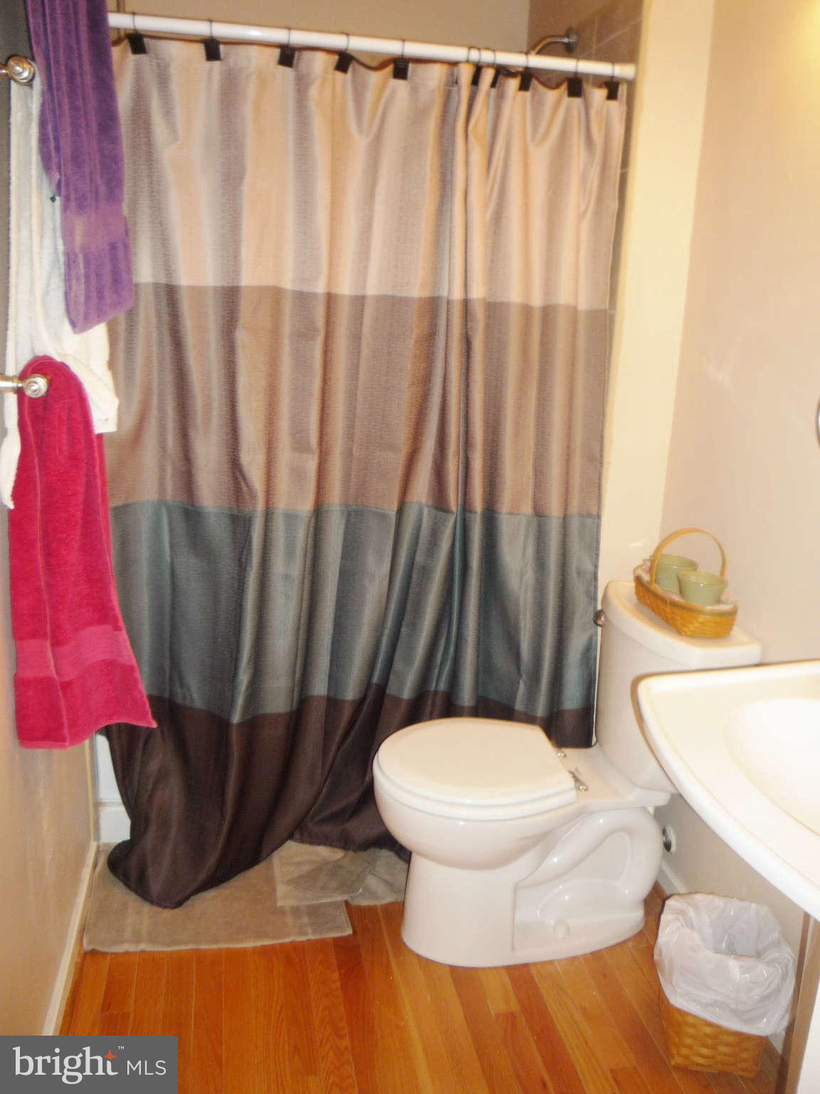 10011 Bald Hill Road Bowie, MD 20721 - Photo 17 of 29 Master Bathroom