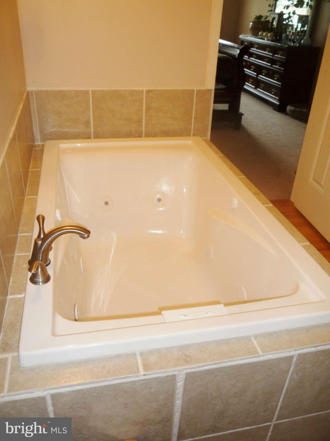 10011 Bald Hill Road Bowie, MD 20721 - Photo 18 of 29 Master Bath Whirlpool Tub