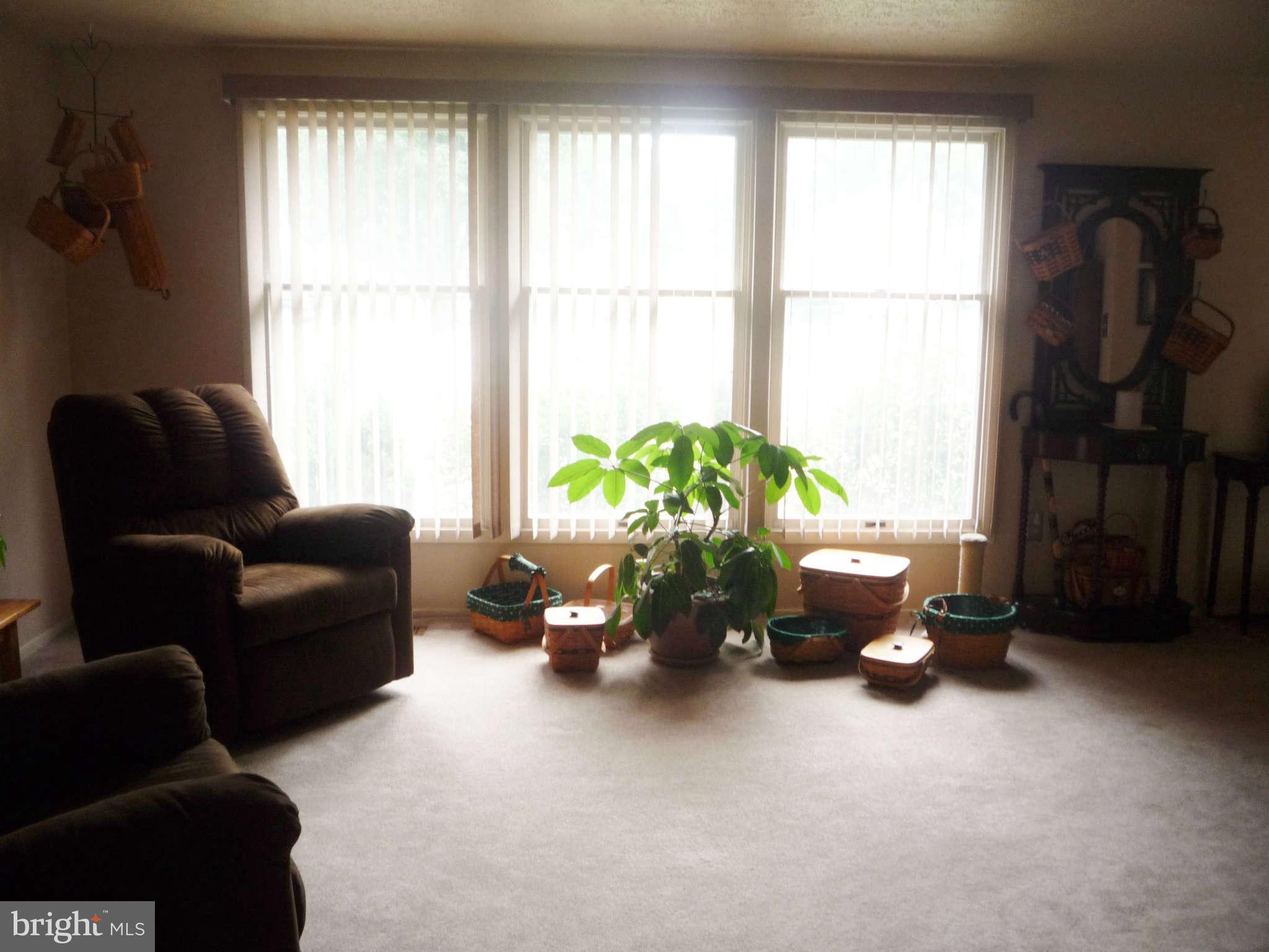 10011 Bald Hill Road Bowie, MD 20721 - Photo 4 of 29 Living Room