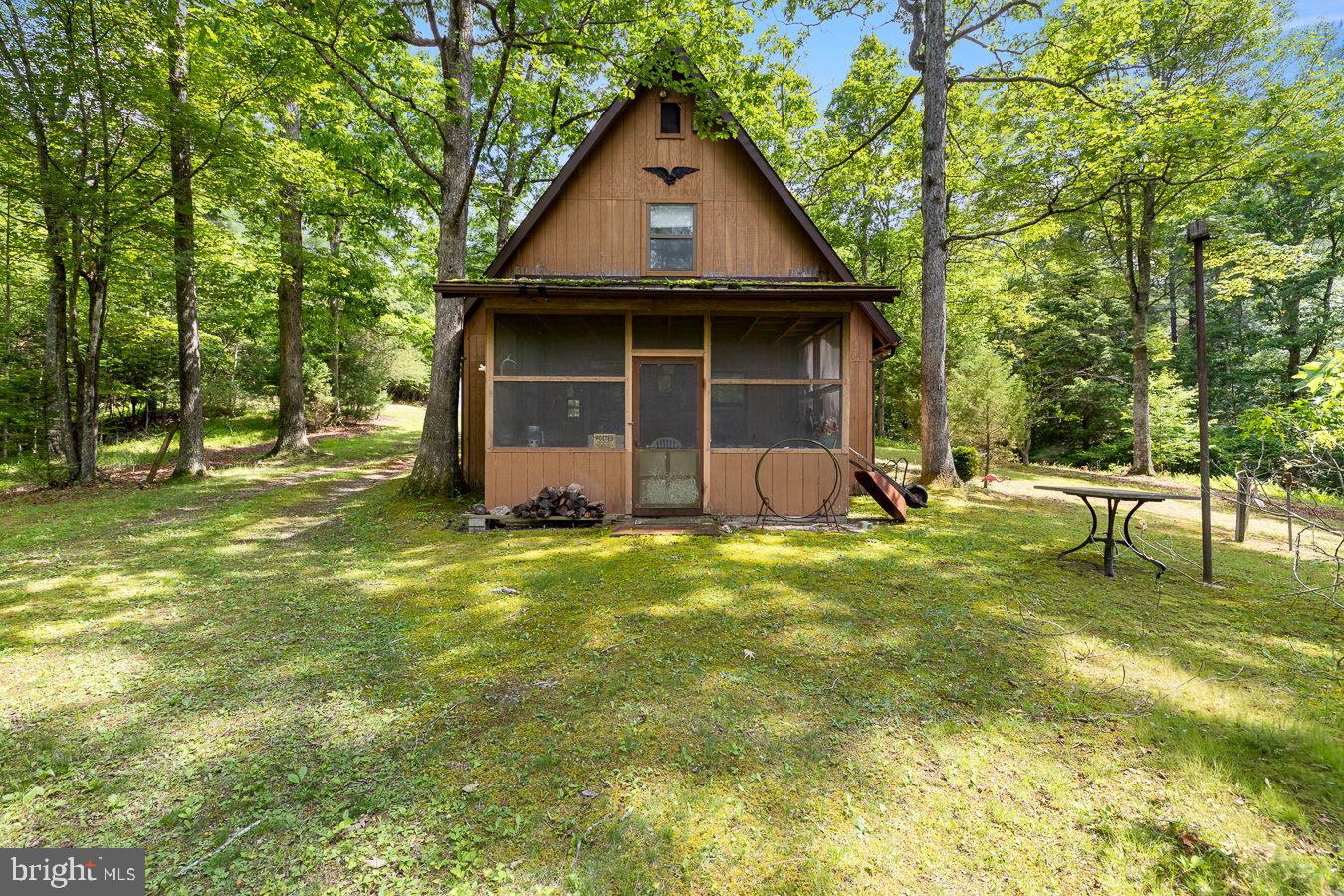 1499 Buggy Ridge Road Mount Jackson, VA 22842 - Photo 4 of 39 Front of cabin