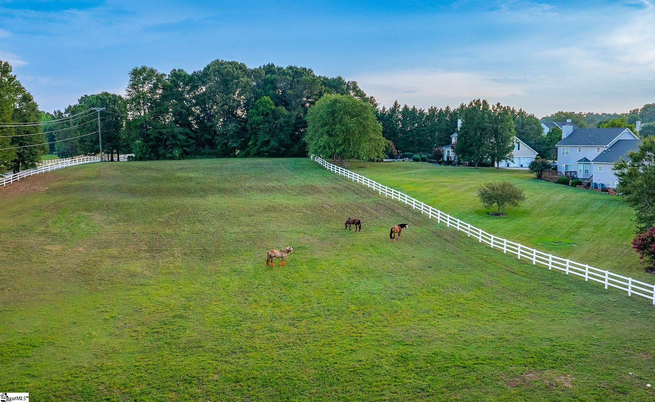 404 Plevin Way Pelzer, SC 29669 - Photo 50 of 50