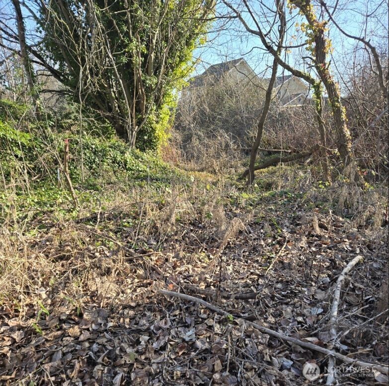 8826 3rd Avenue South Seattle, WA 98108 - Photo 2 of 12