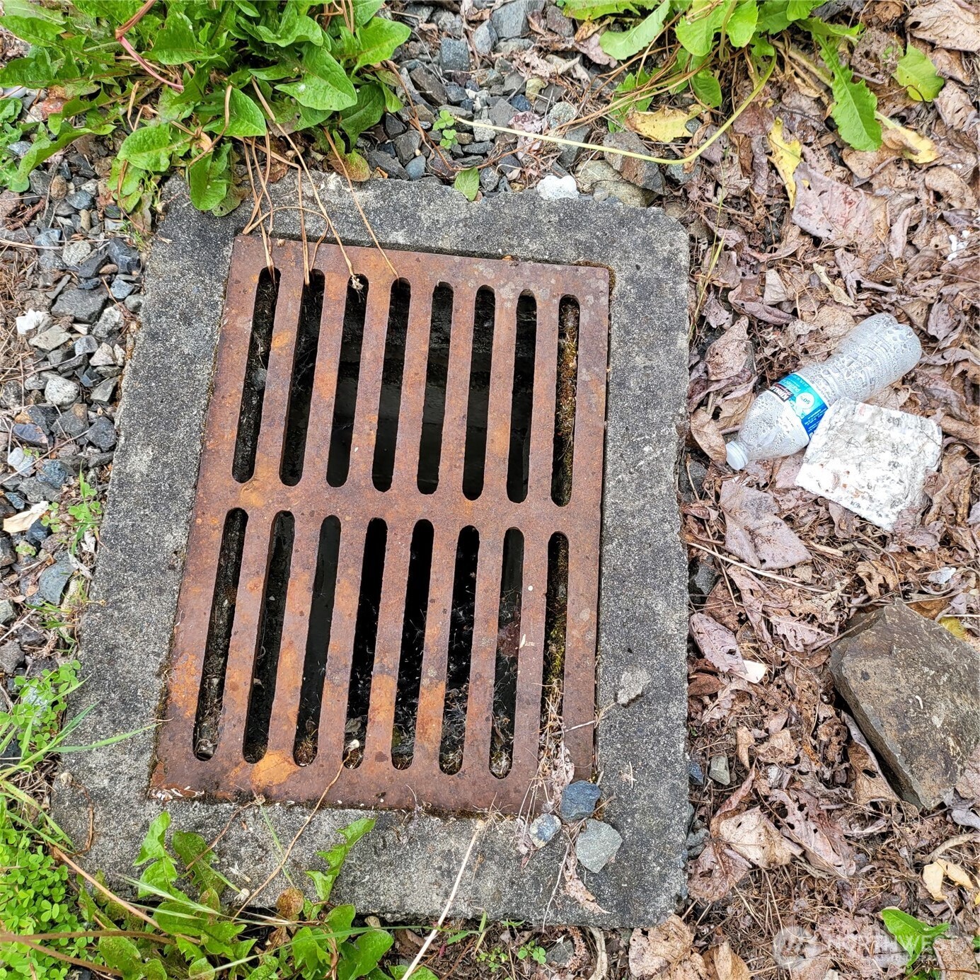 8826 3rd Avenue South Seattle, WA 98108 - Photo 7 of 12