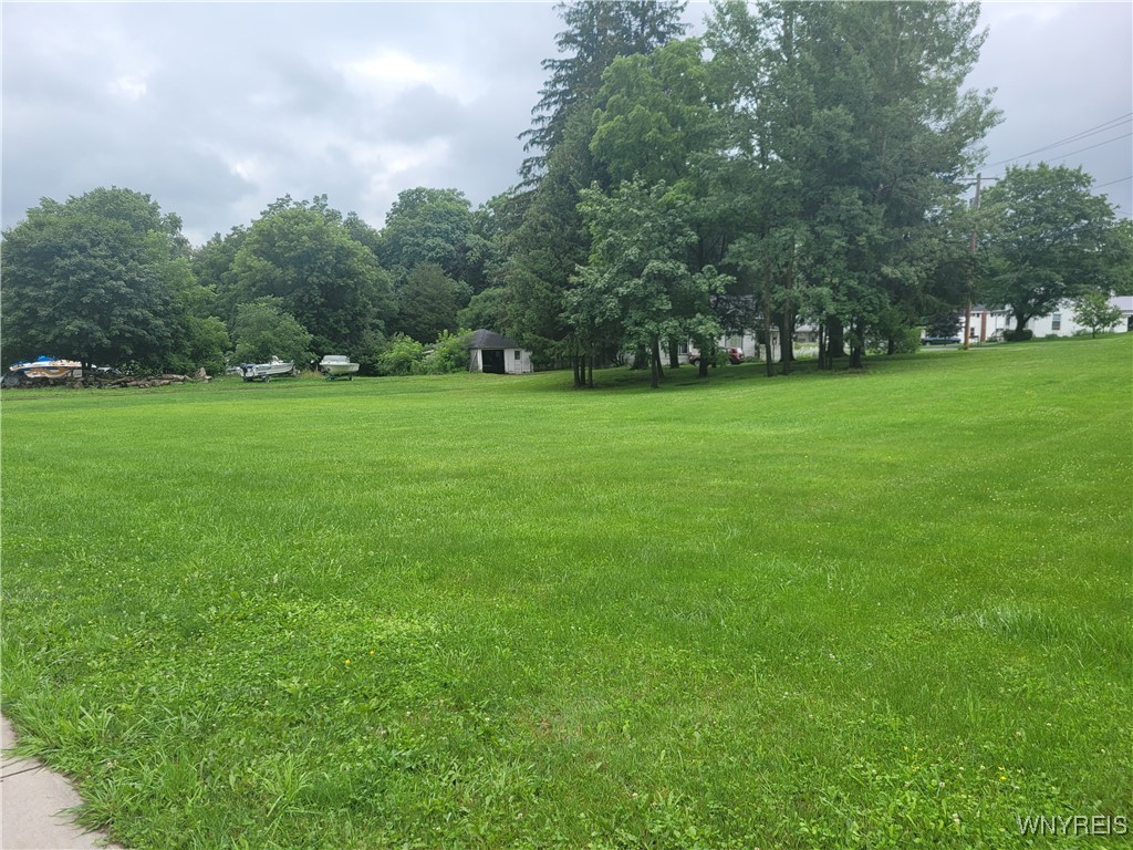 0 South Main Street Castile, NY 14427 - Photo 9 of 9