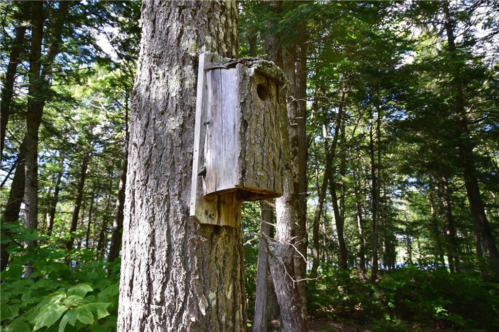700 Madagascal Pond Road Burlington, ME 04417 - Photo 21 of 33 Photo