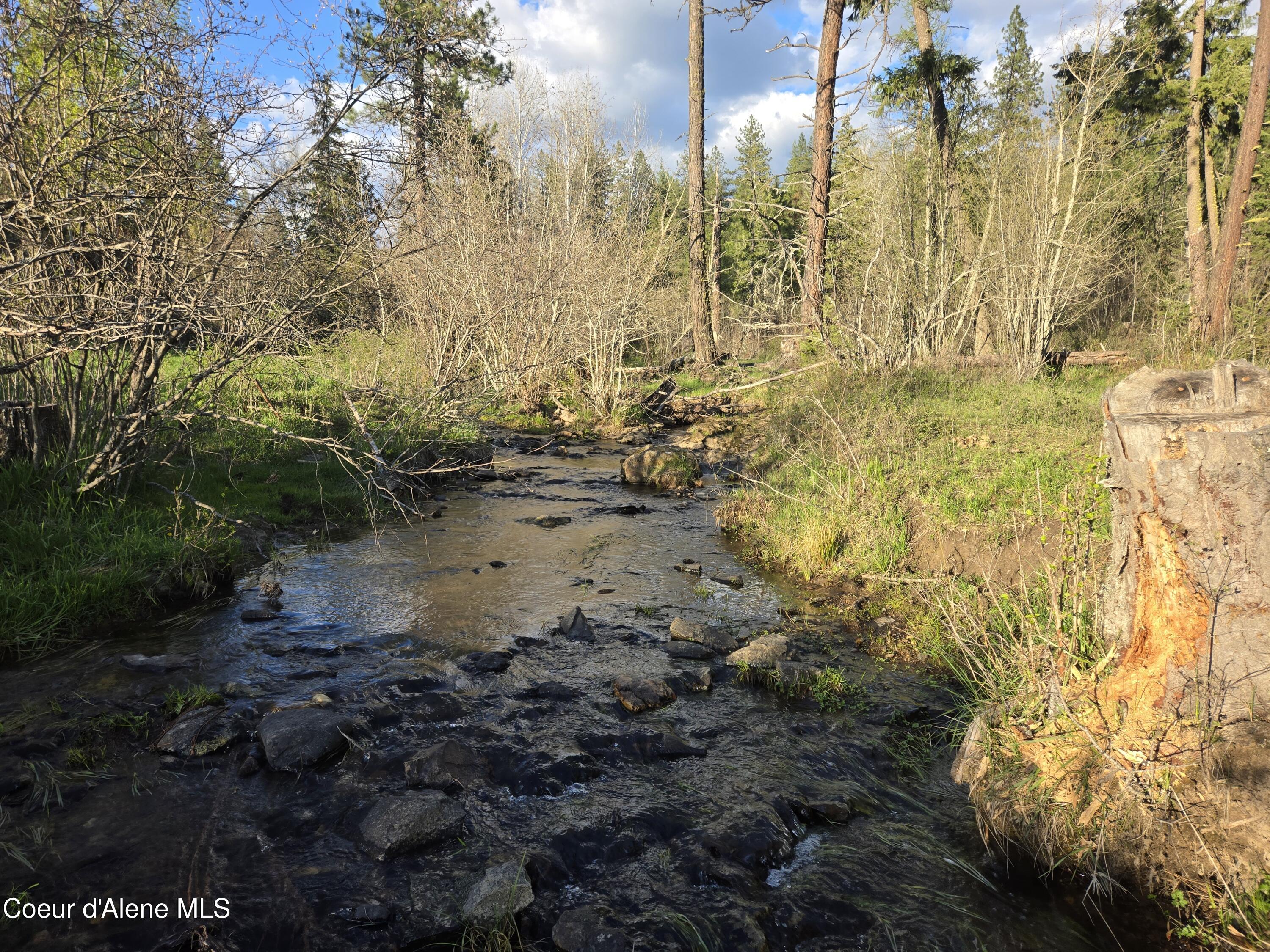 6420 Hells Gulch Road St. Maries, ID 83861 - Photo 5 of 90 Water is Life