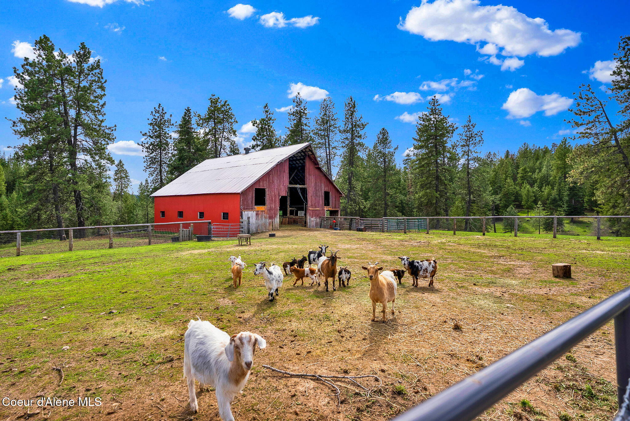 6420 Hells Gulch Road St. Maries, ID 83861 - Photo 51 of 90 The Goats Love the Barn