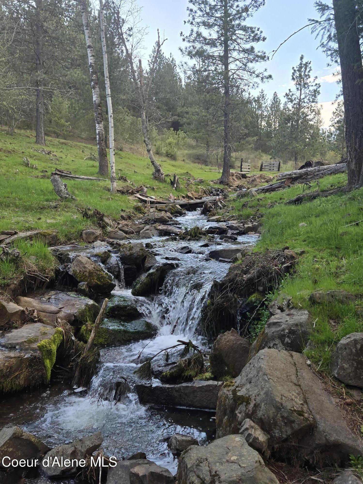 6420 Hells Gulch Road St. Maries, ID 83861 - Photo 54 of 90 Creeks are Awesome