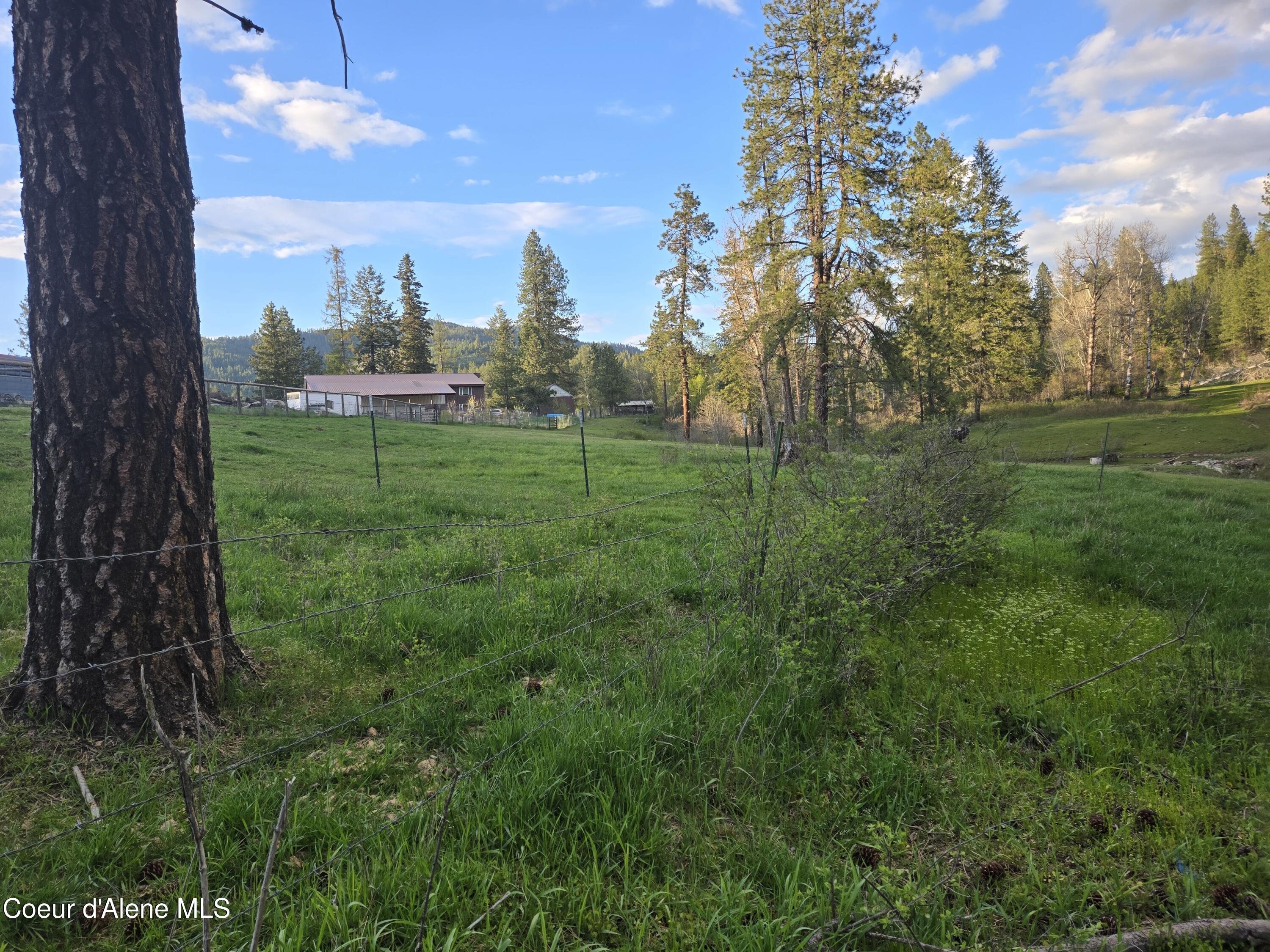 6420 Hells Gulch Road St. Maries, ID 83861 - Photo 58 of 90 Pasture All Around