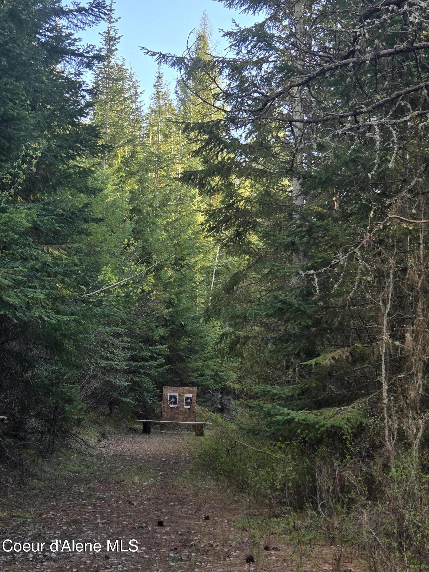 6420 Hells Gulch Road St. Maries, ID 83861 - Photo 59 of 90 Shooting Happens Here