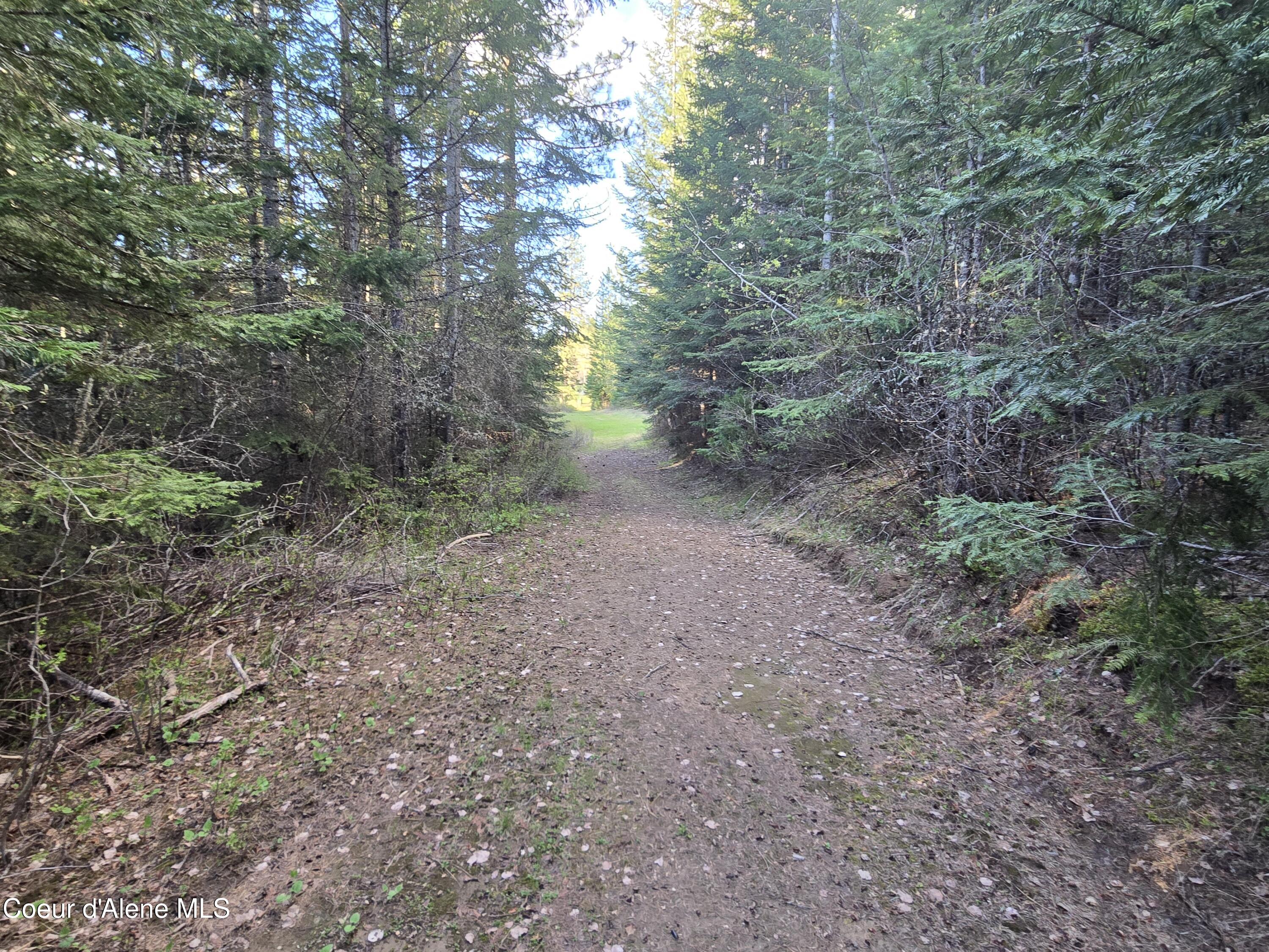 6420 Hells Gulch Road St. Maries, ID 83861 - Photo 60 of 90 Trails and Trails