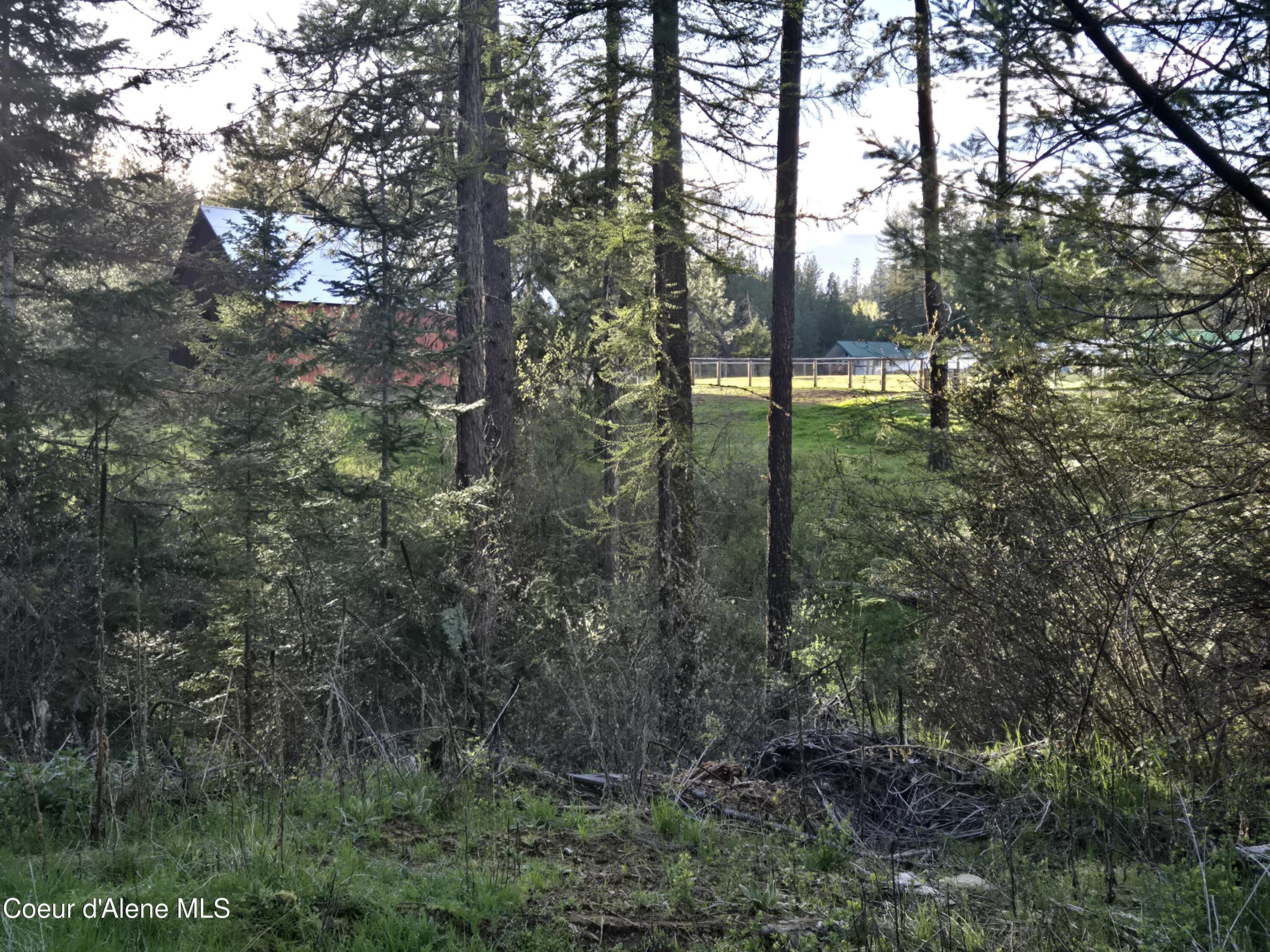 6420 Hells Gulch Road St. Maries, ID 83861 - Photo 63 of 90 The Barn Is Hiding