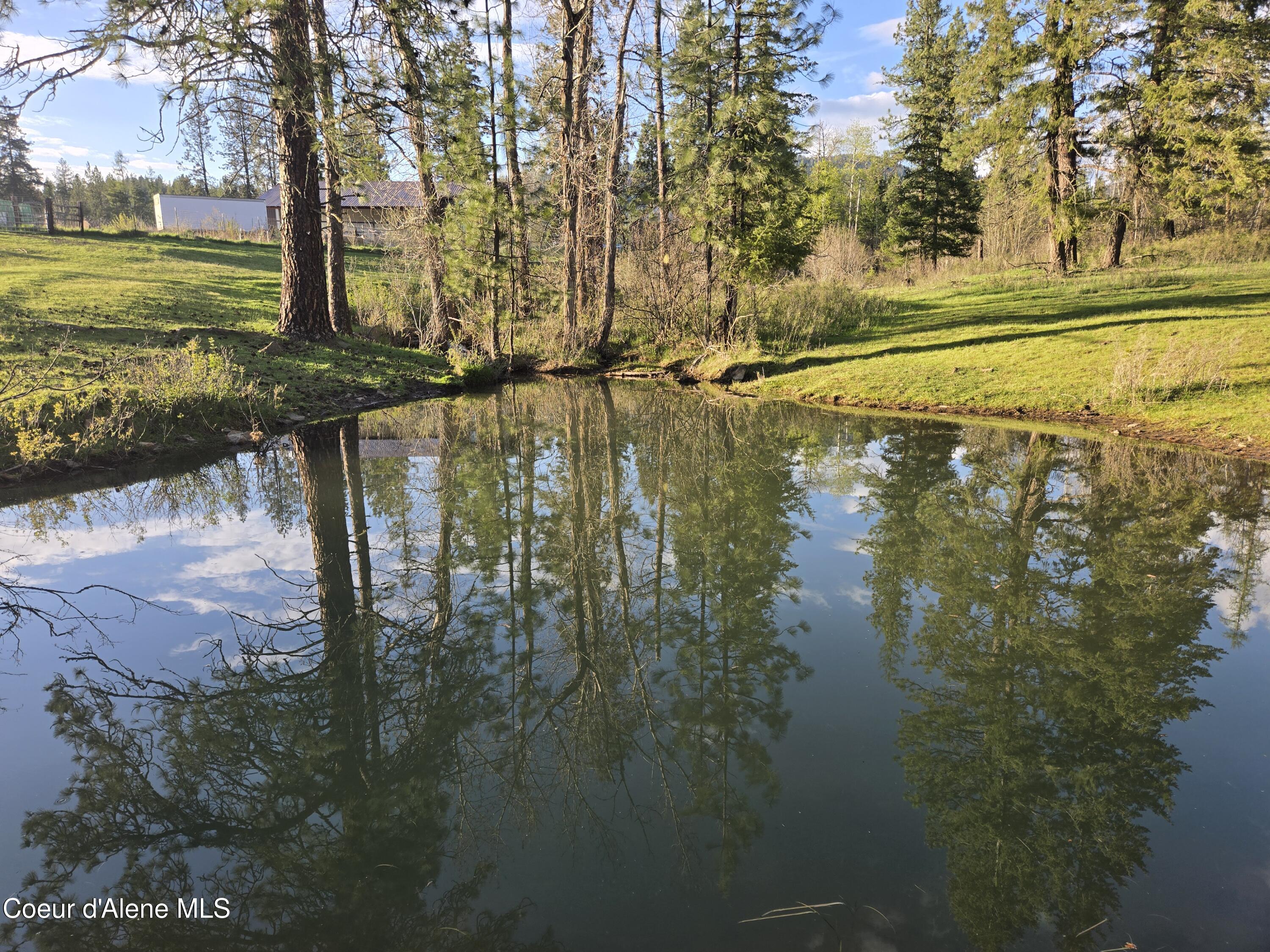 6420 Hells Gulch Road St. Maries, ID 83861 - Photo 64 of 90 Pond #2 is a Lovely View