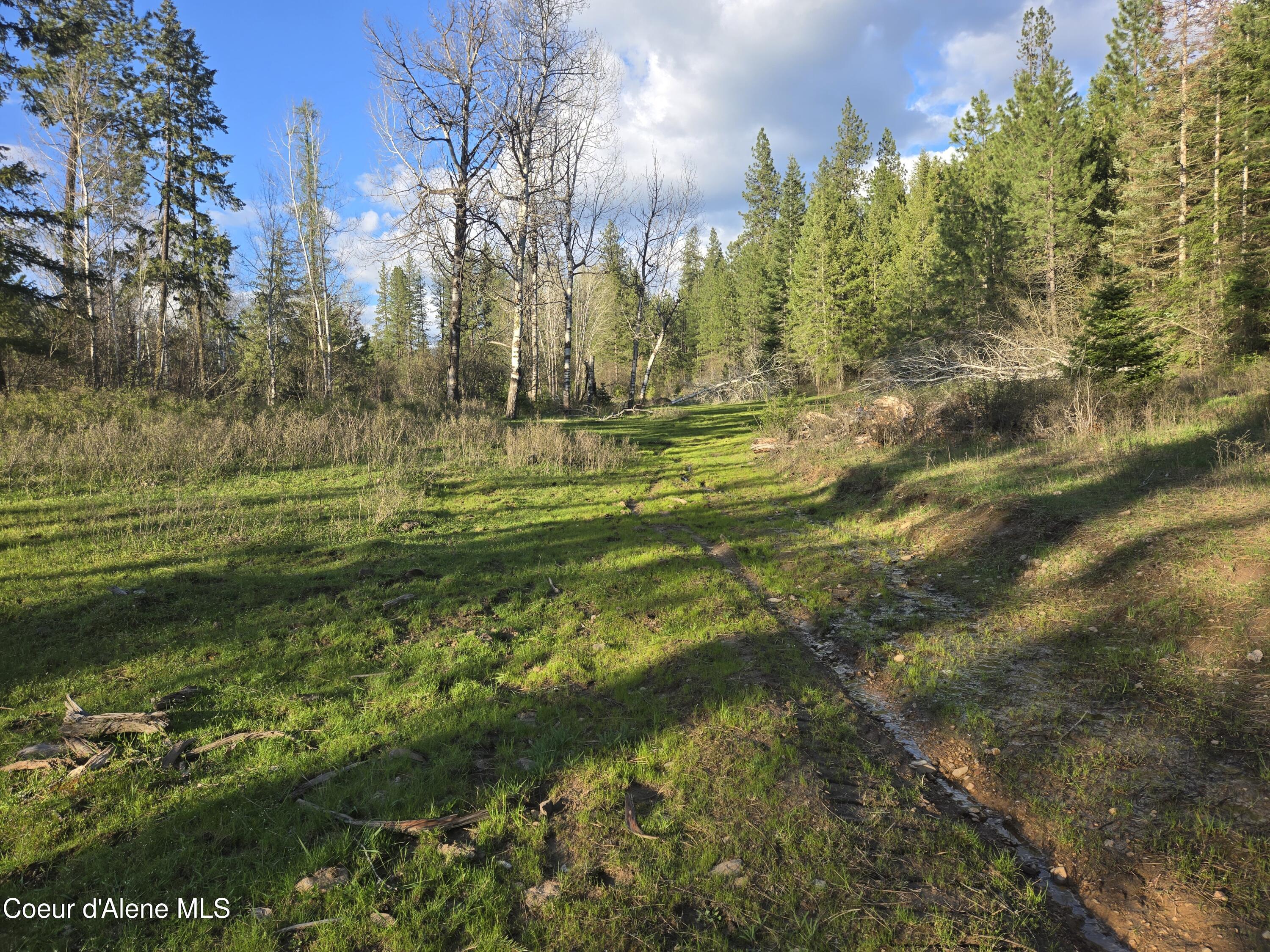 6420 Hells Gulch Road St. Maries, ID 83861 - Photo 65 of 90 Green Pastures are A Beautiful Thing