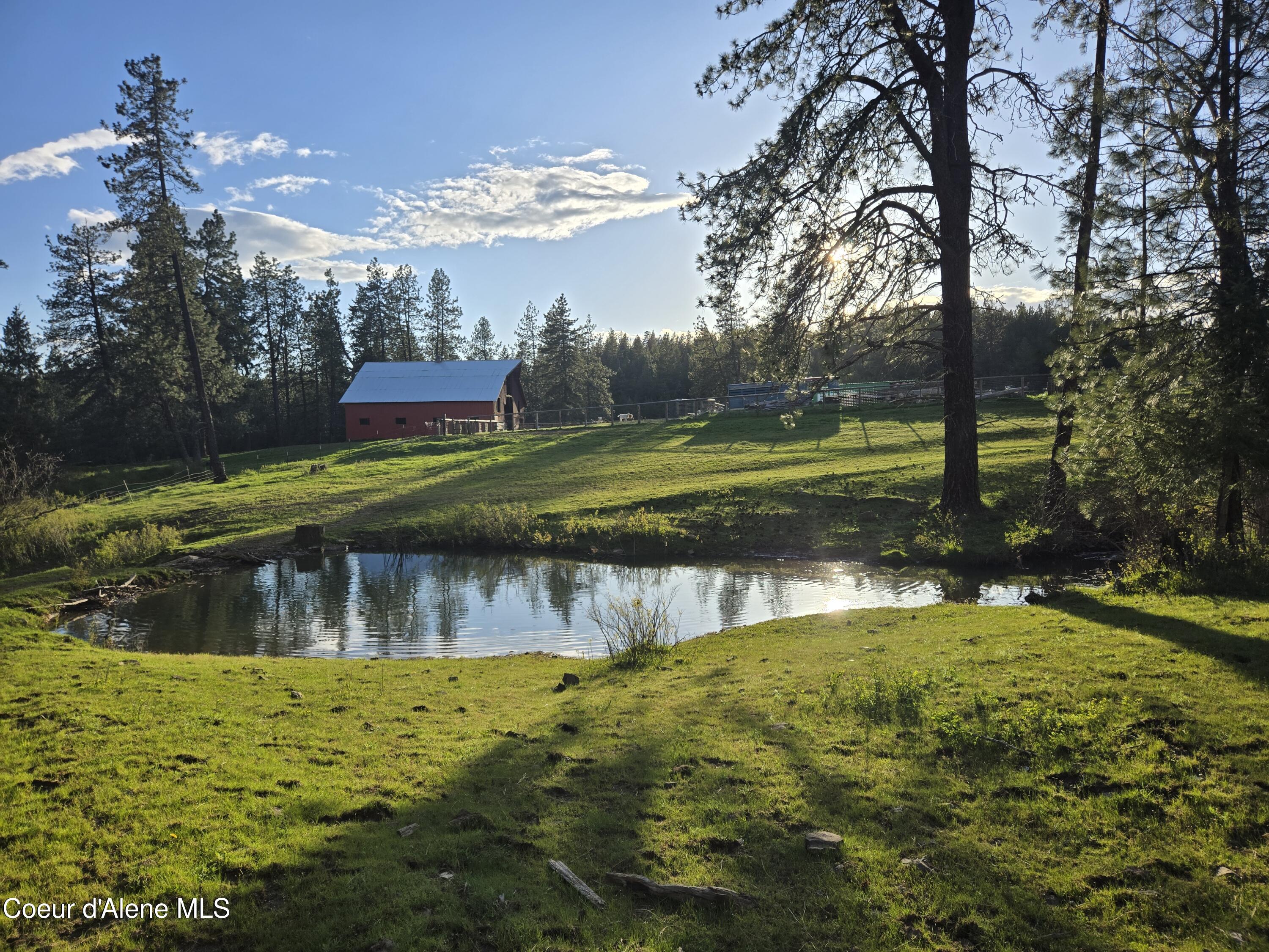 6420 Hells Gulch Road St. Maries, ID 83861 - Photo 66 of 90 Real Clouds and Water