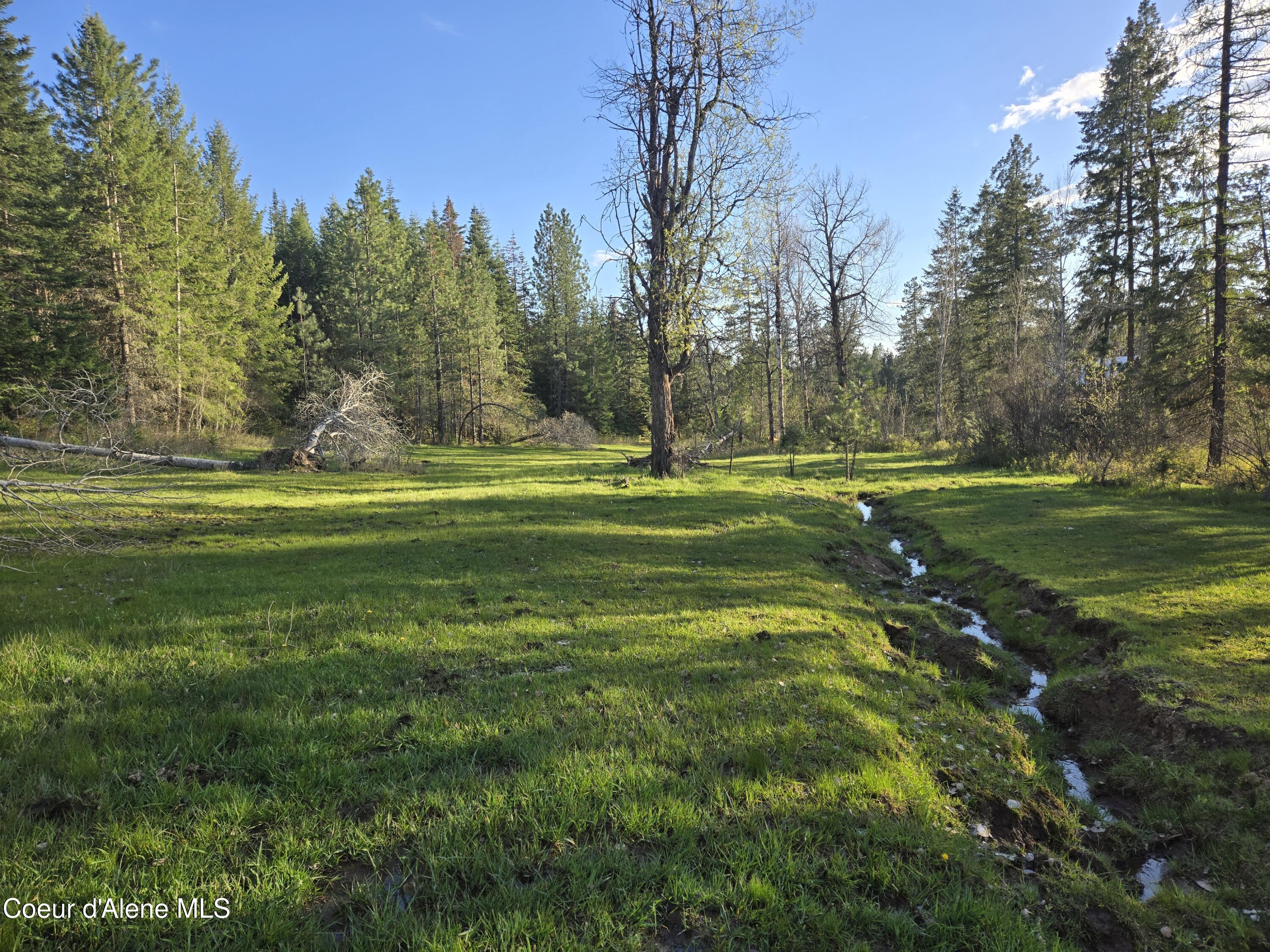 6420 Hells Gulch Road St. Maries, ID 83861 - Photo 70 of 90 A Lovely Pasture
