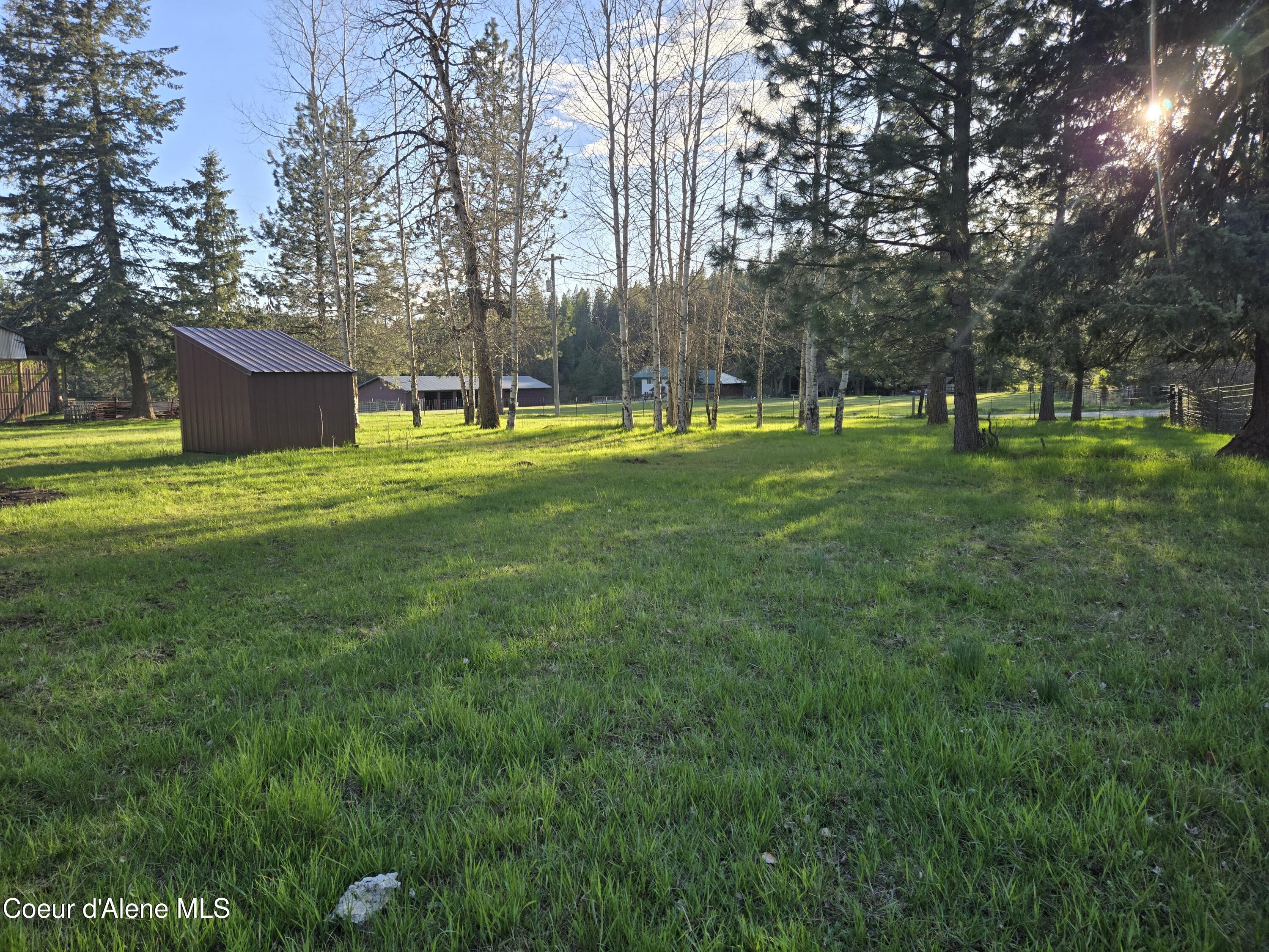 6420 Hells Gulch Road St. Maries, ID 83861 - Photo 73 of 90 Alder Trees Indicate Water