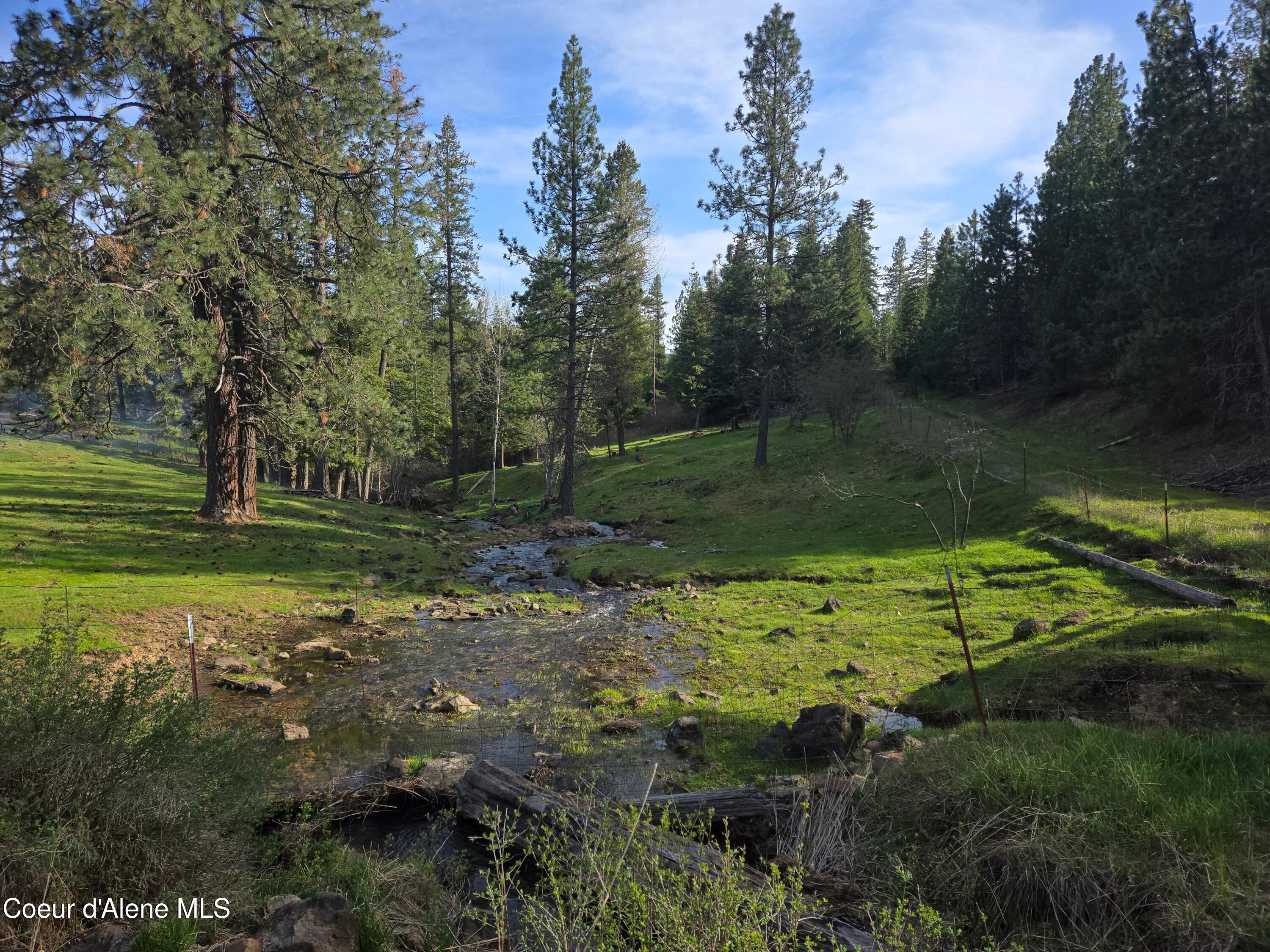 6420 Hells Gulch Road St. Maries, ID 83861 - Photo 75 of 90 The Creek Out Your Door