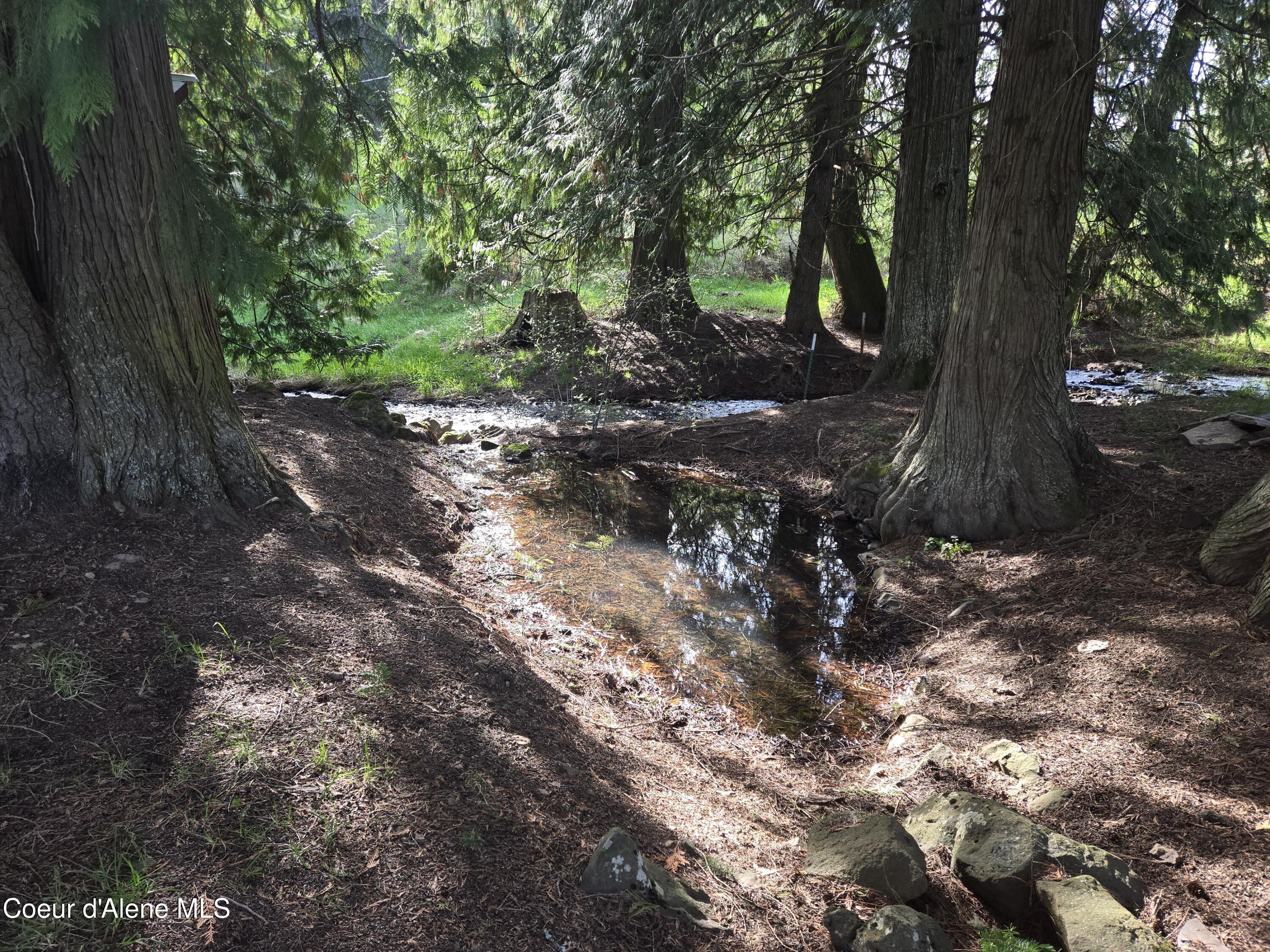 6420 Hells Gulch Road St. Maries, ID 83861 - Photo 77 of 90 Cedars and a Creek
