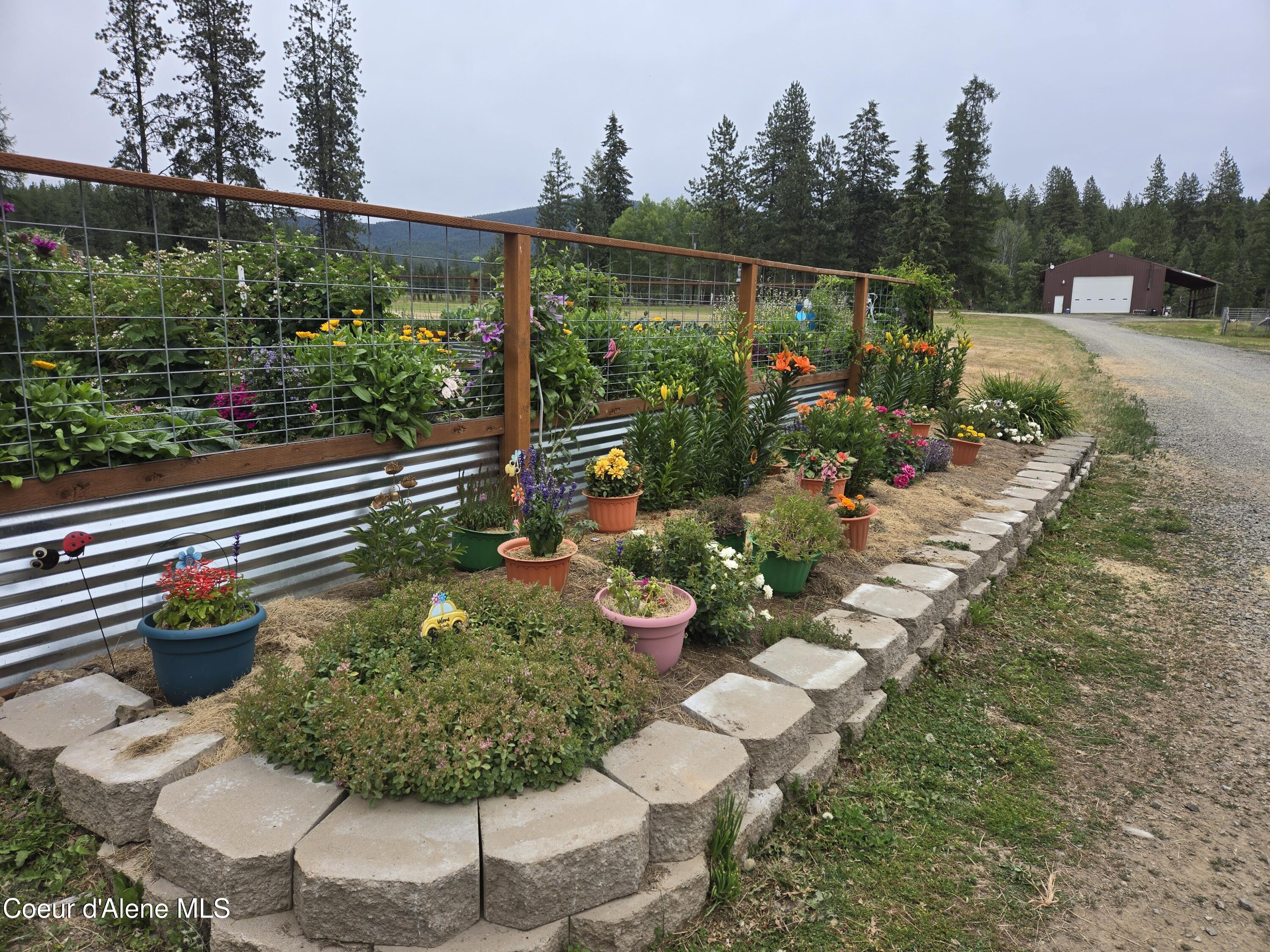 6420 Hells Gulch Road St. Maries, ID 83861 - Photo 79 of 90 Flowers In Bloom
