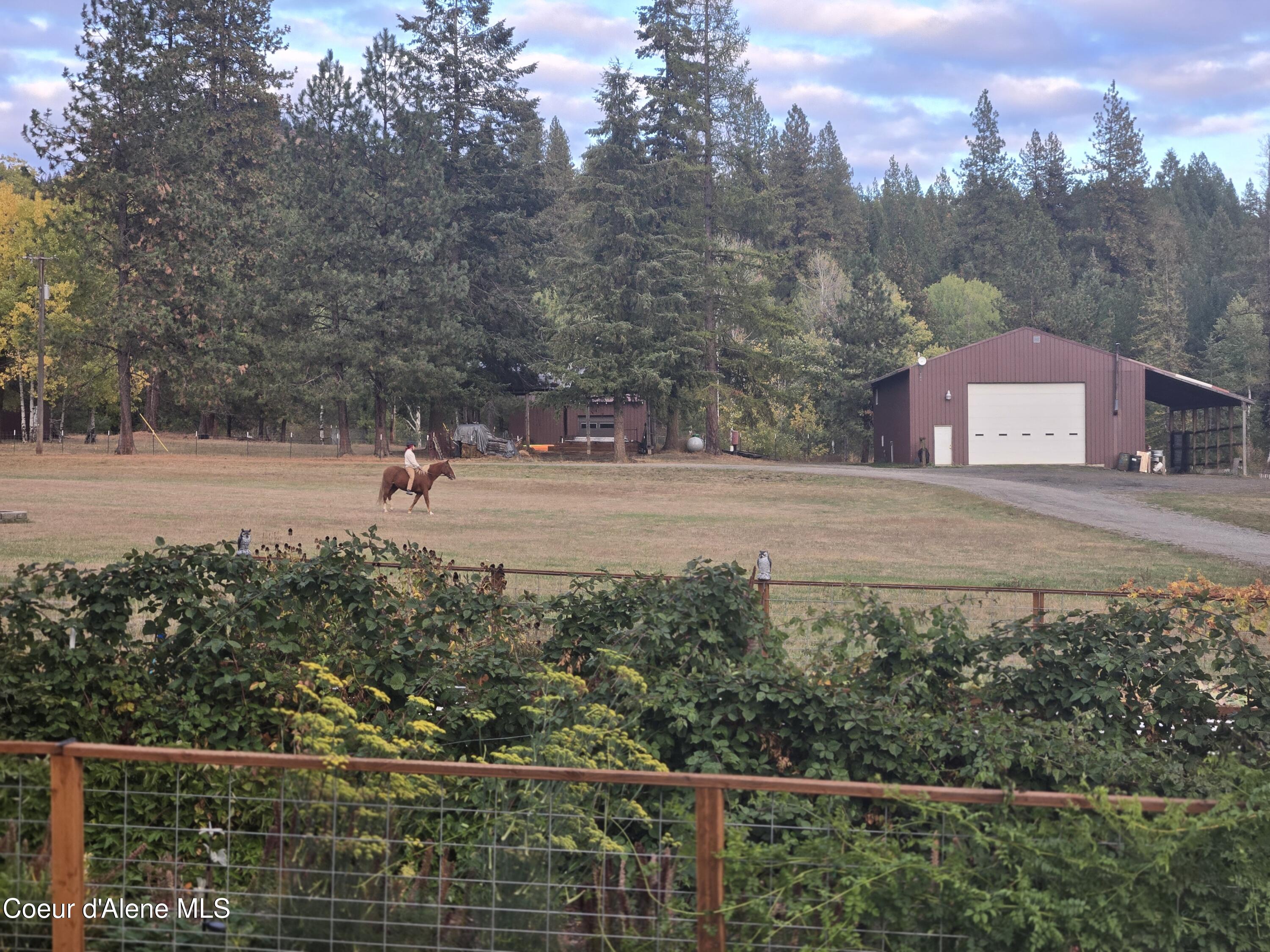 6420 Hells Gulch Road St. Maries, ID 83861 - Photo 80 of 90 Enjoying the Ride