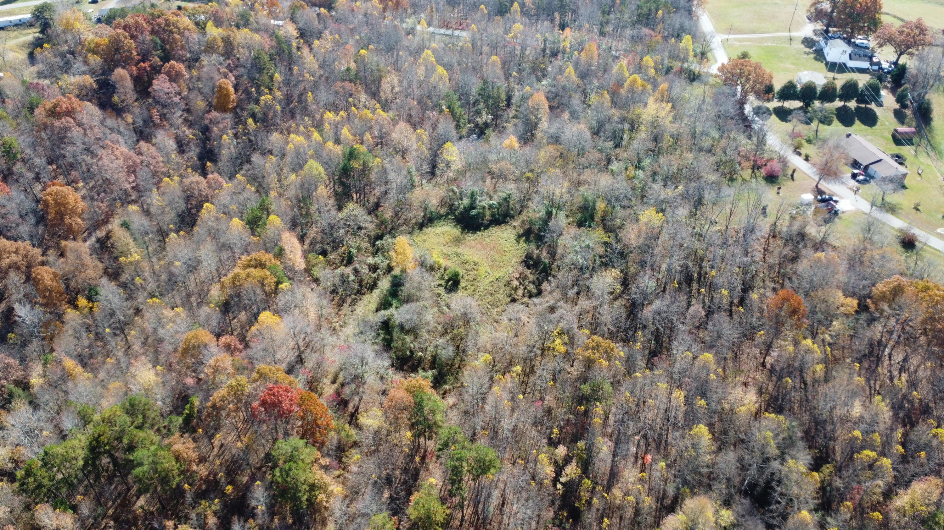 0 Rooks Branch Keavy, KY 40737 - Photo 7 of 28 DJI_0202