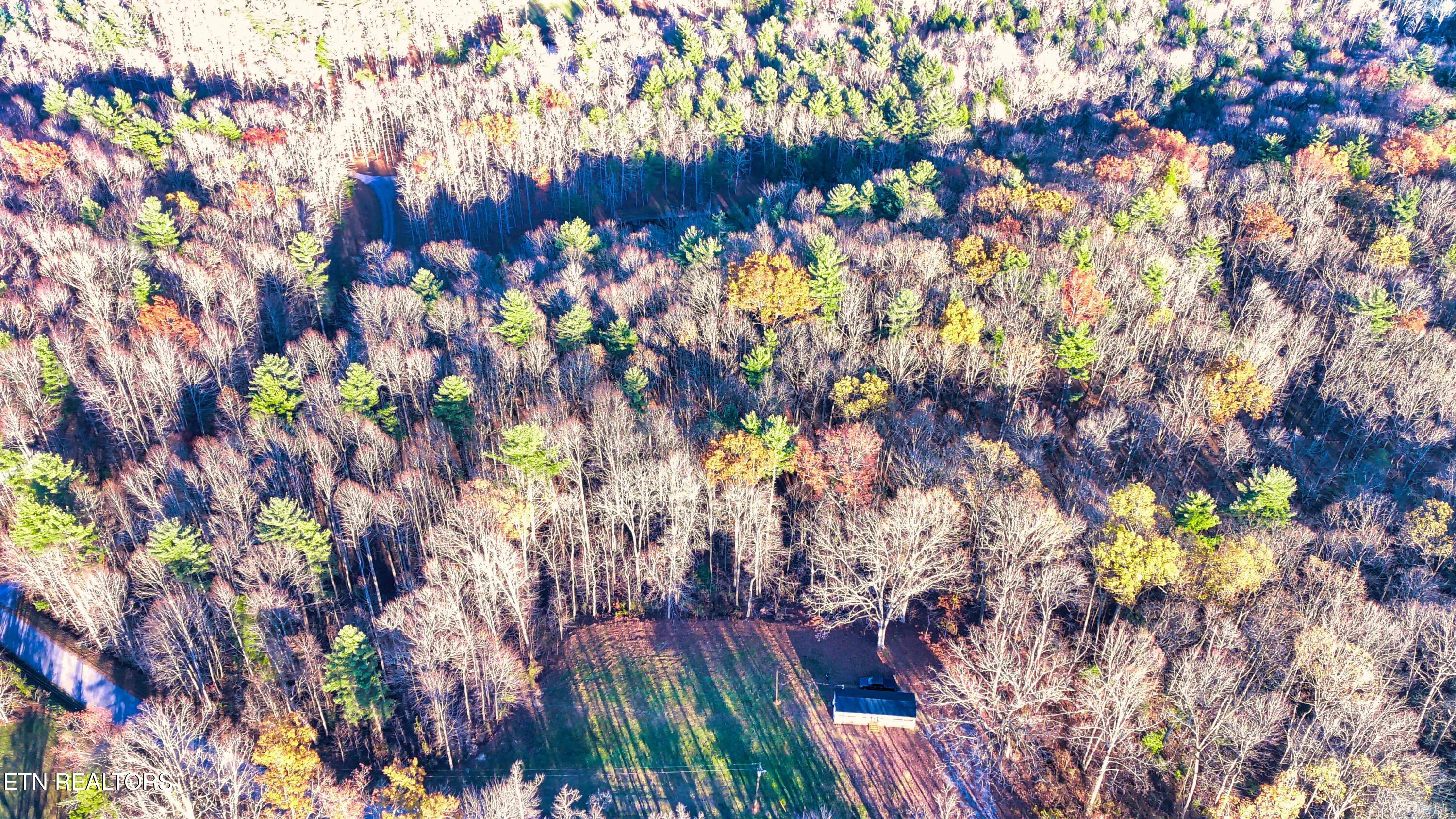 1070 Chestnut Ridge Road Allardt, TN 38504 - Photo 54 of 57 FIMI0015