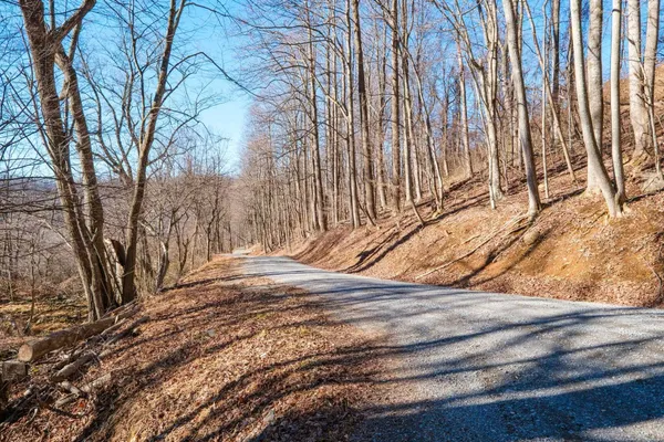 a view of a yard with wooden fence