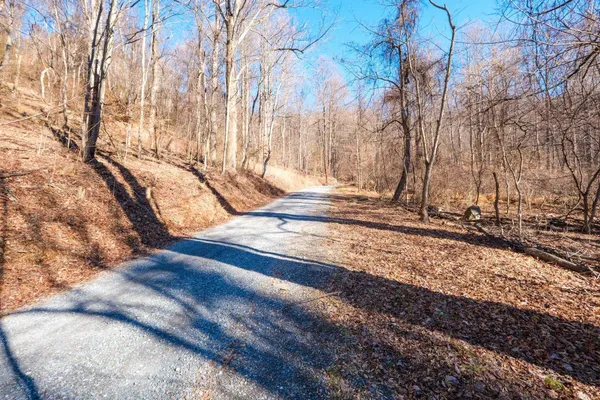 a view of a dry yard with mountains in the background