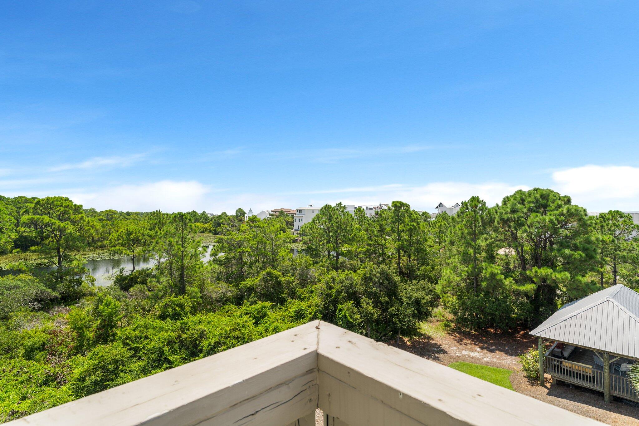 145 Beachfront Trail, Unit 302 Santa Rosa Beach, FL 32459 - Photo 22 of 42 a view of a yard with potted plants