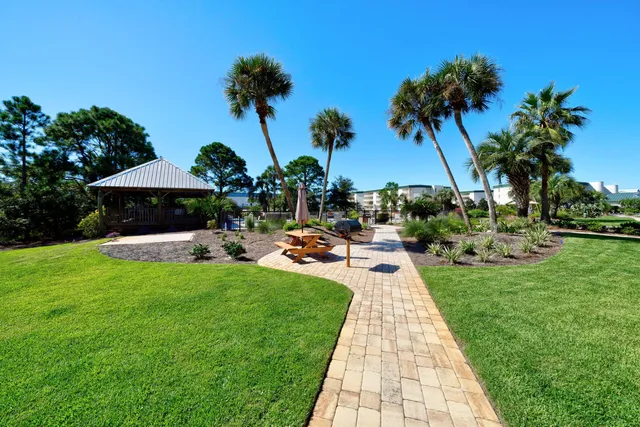 a view of a backyard with table and chairs potted plants and a palm tree