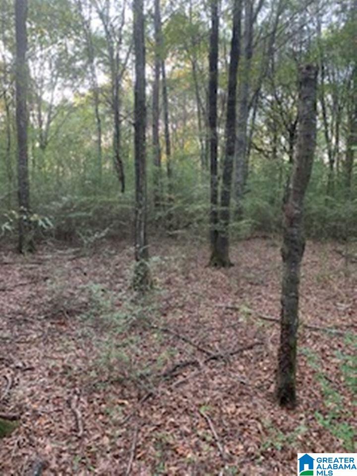 0 Blue Eye Springs Road, Unit 1 Lincoln, AL 35096 - Photo 19 of 24