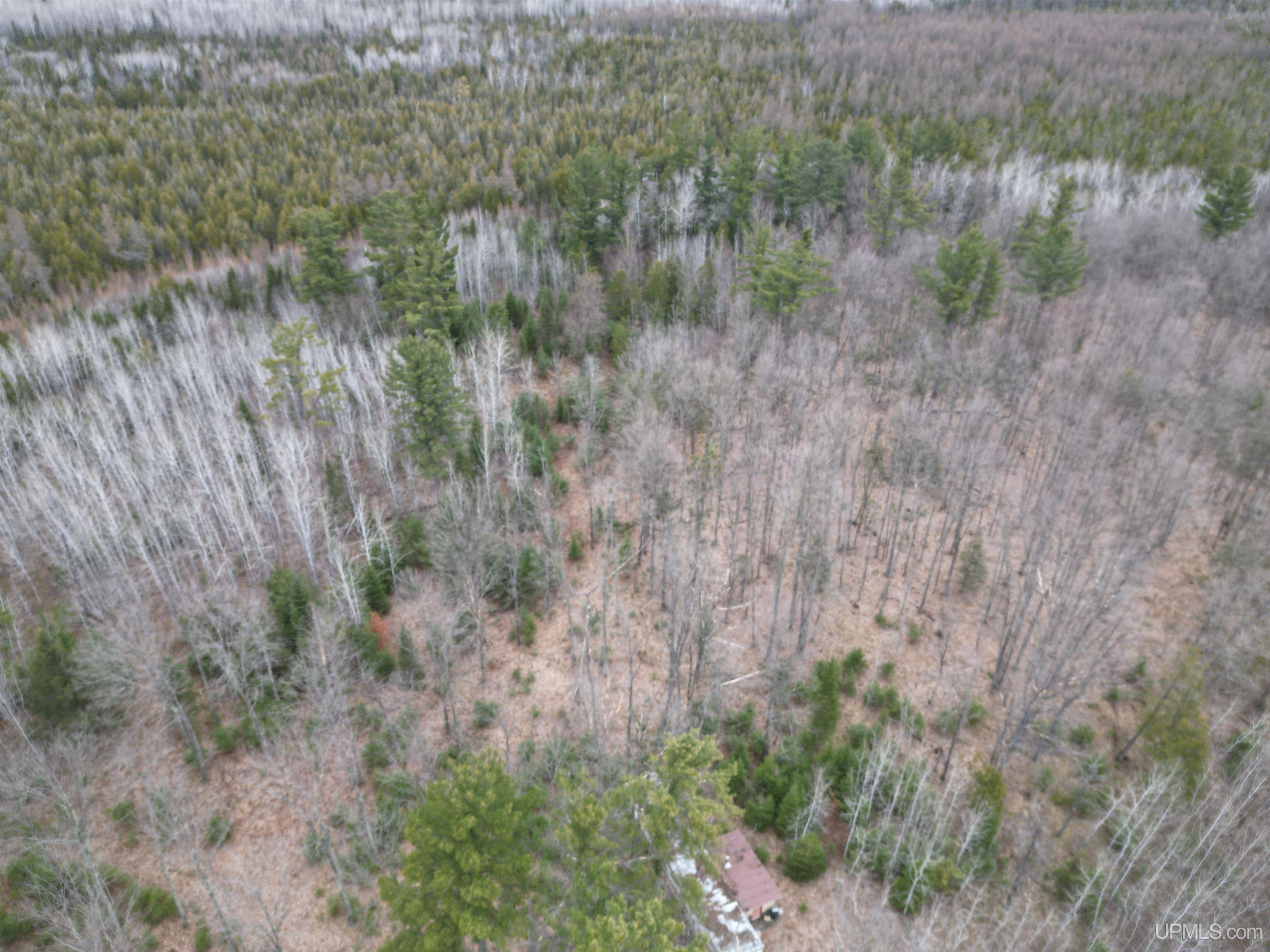 M69 Rd Perronville Mi 49873 Road Perronville, MI 49873 - Photo 2 of 41