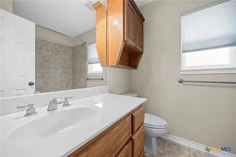 a bathroom with a sink a toilet and mirror