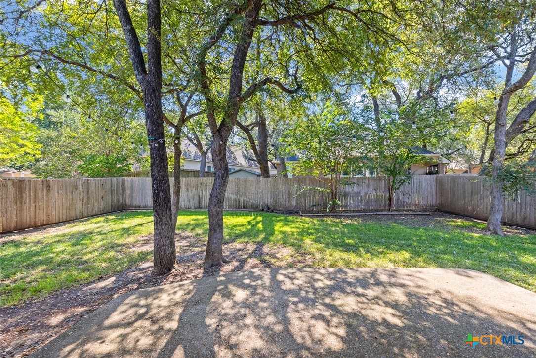 2807 Amber Forest Trail Belton, TX 76513 - Photo 38 of 40 a backyard of a house with green landscape and trees
