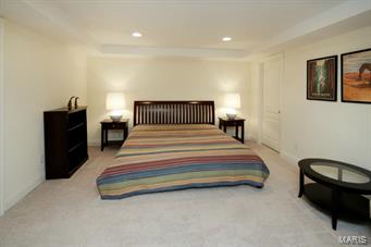 327 South Mosley Road Creve Coeur, MO 63141 - Photo 20 of 28 Gallery Image 20